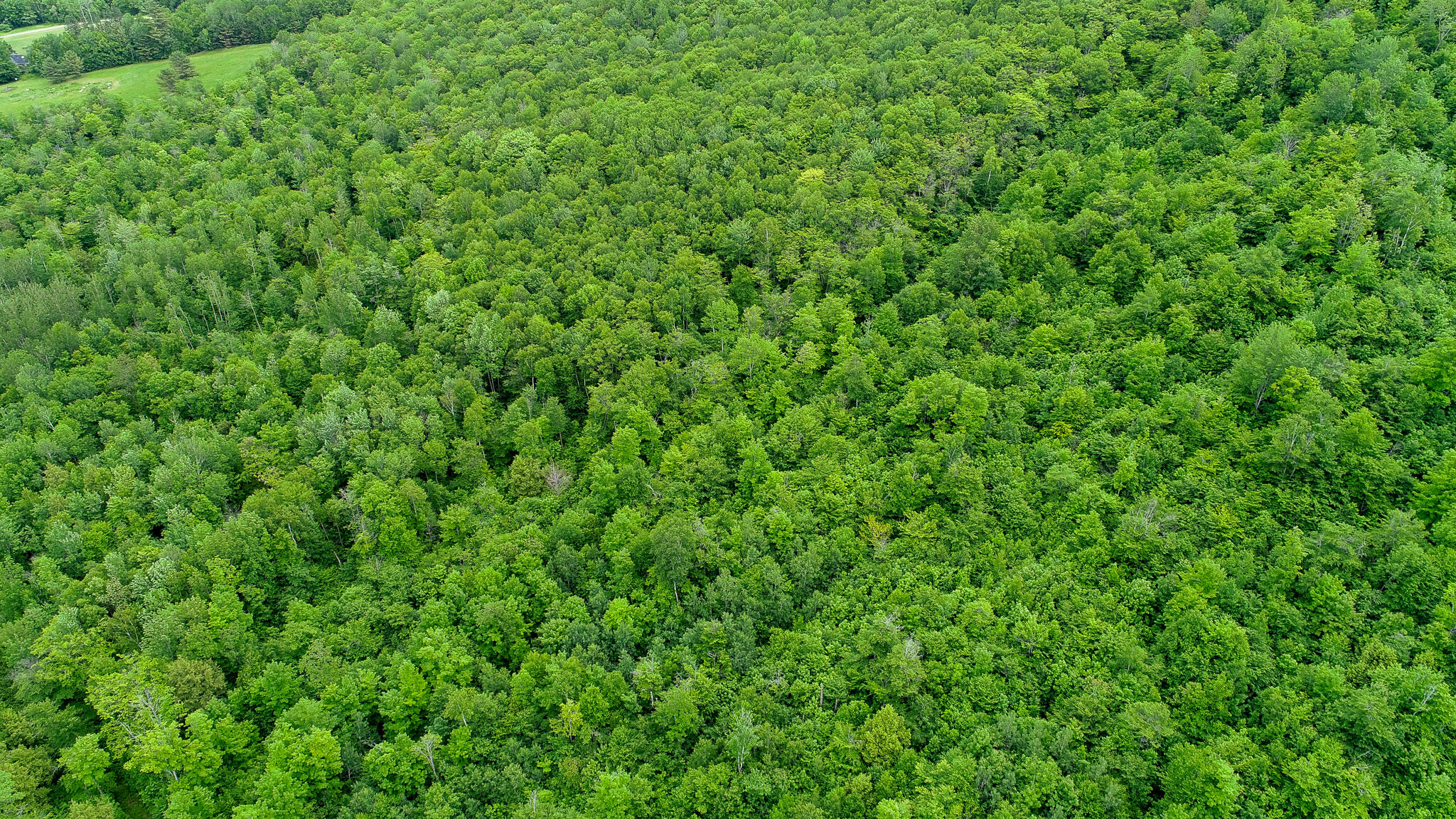 Map 402 Lot 3, Rumford, ME, 04276