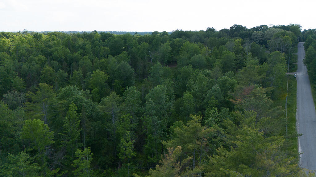 Rural Maine (10+ Acres) Real Estate For Sale
