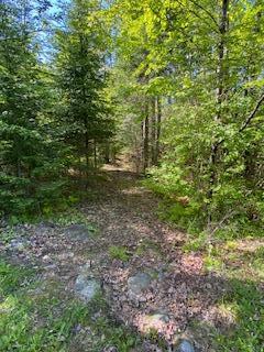 254 Eaton Road, Dexter, ME 04435 — photo 42