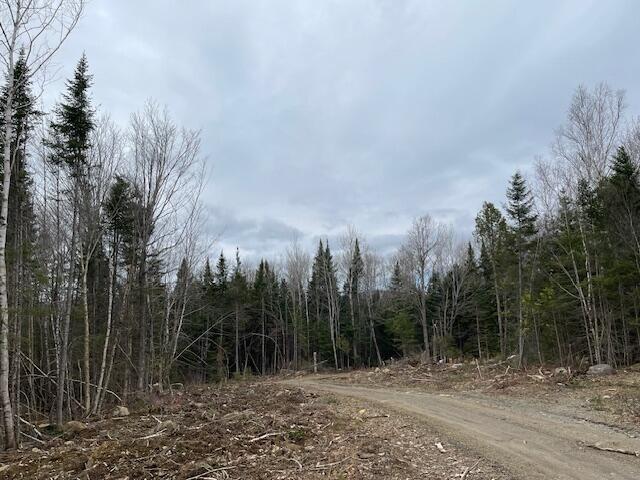 Lot 117 Big Snow Way, Rangeley, ME, 04970