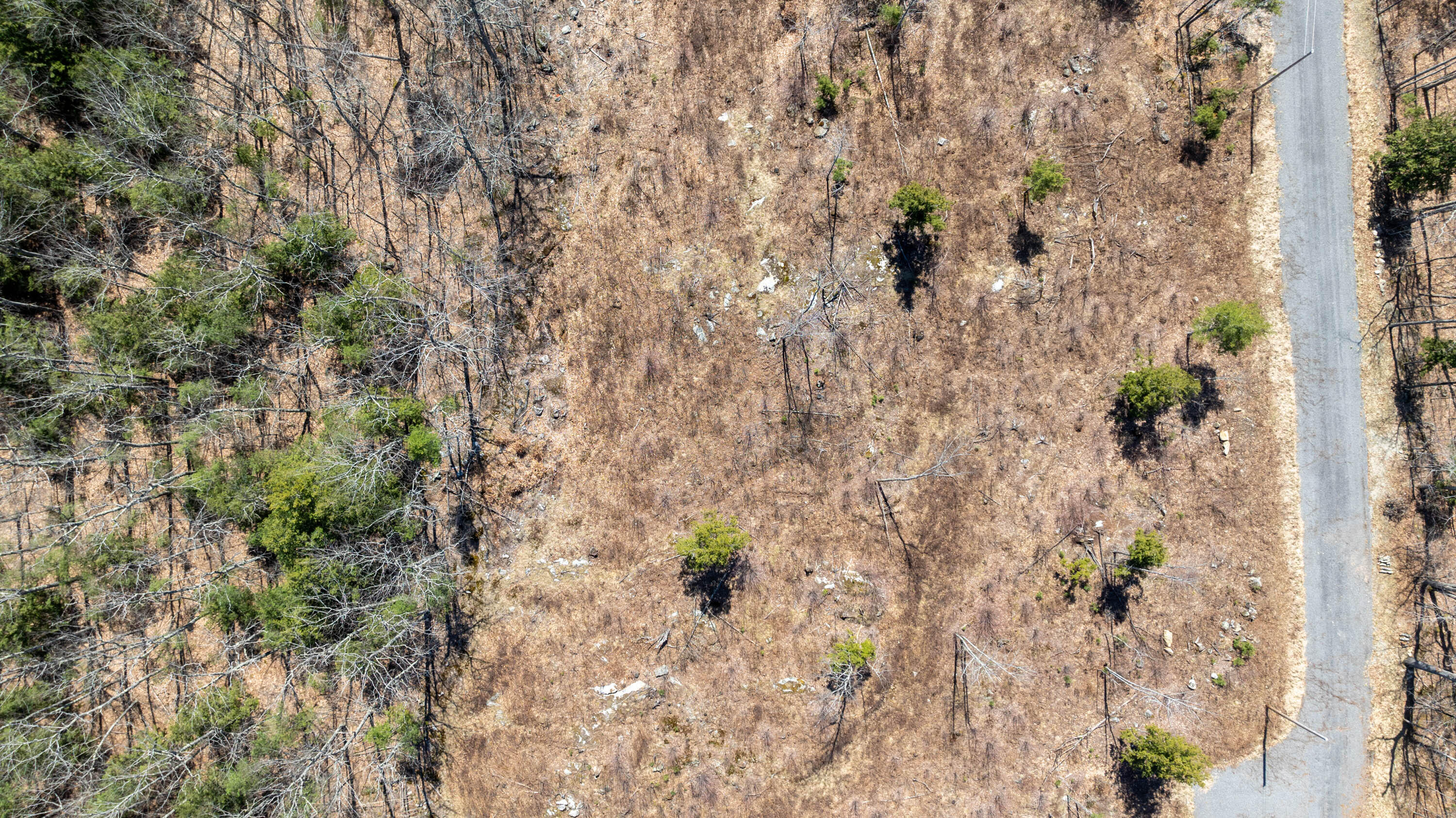 Lot 5 Cobbo Lane, West Gardiner, ME, 04345