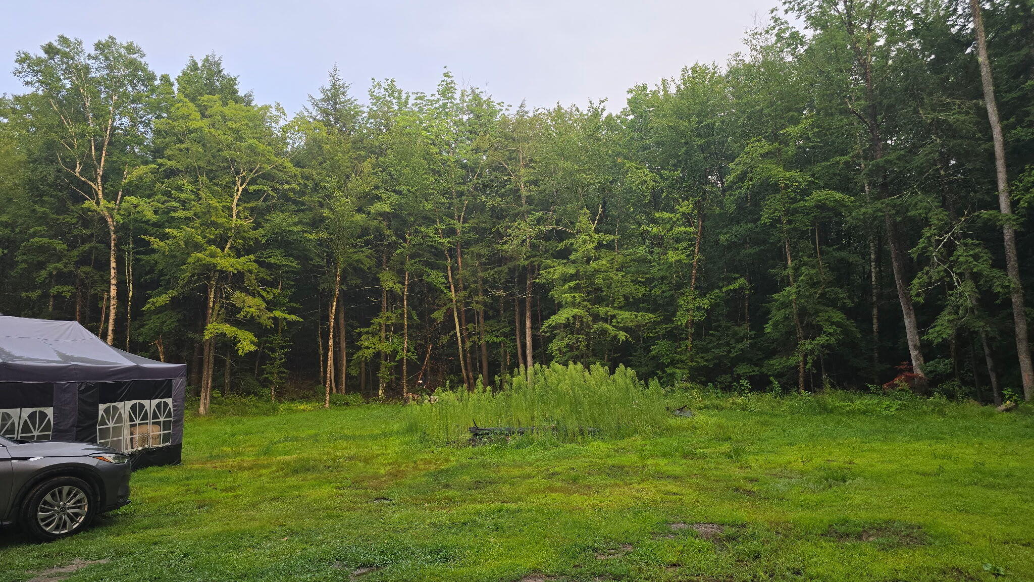49 W Lake Drive, Monmouth, ME 04259 20260803_193552