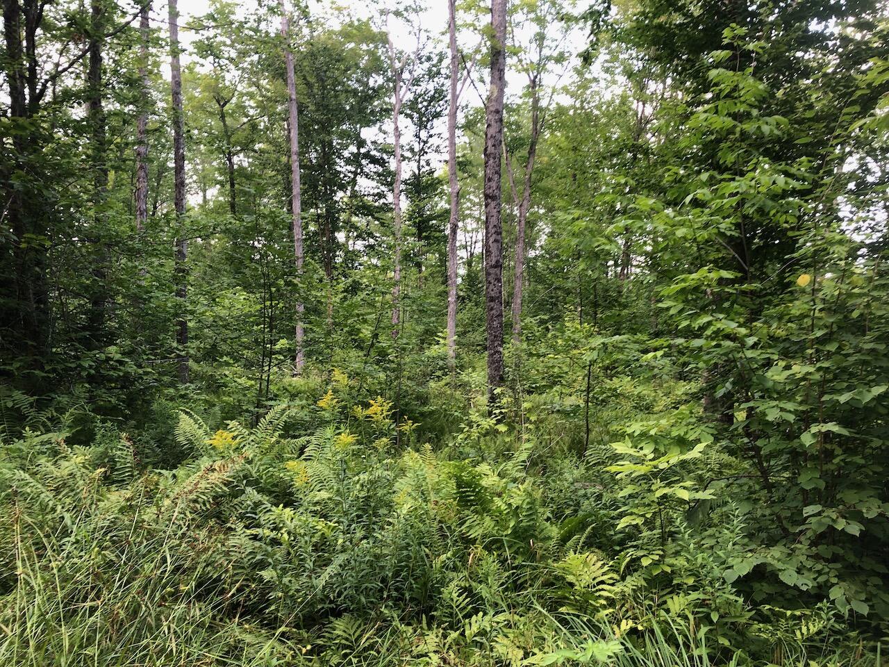 06 Swett Brook Lane, Weld, ME, 04285