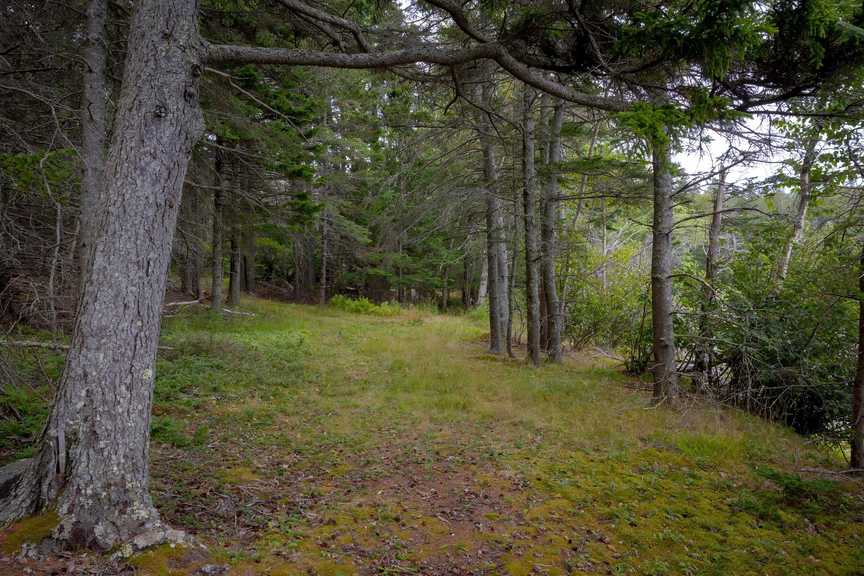 163 Back Road, Brooklin, ME 04616 164backroad - 159