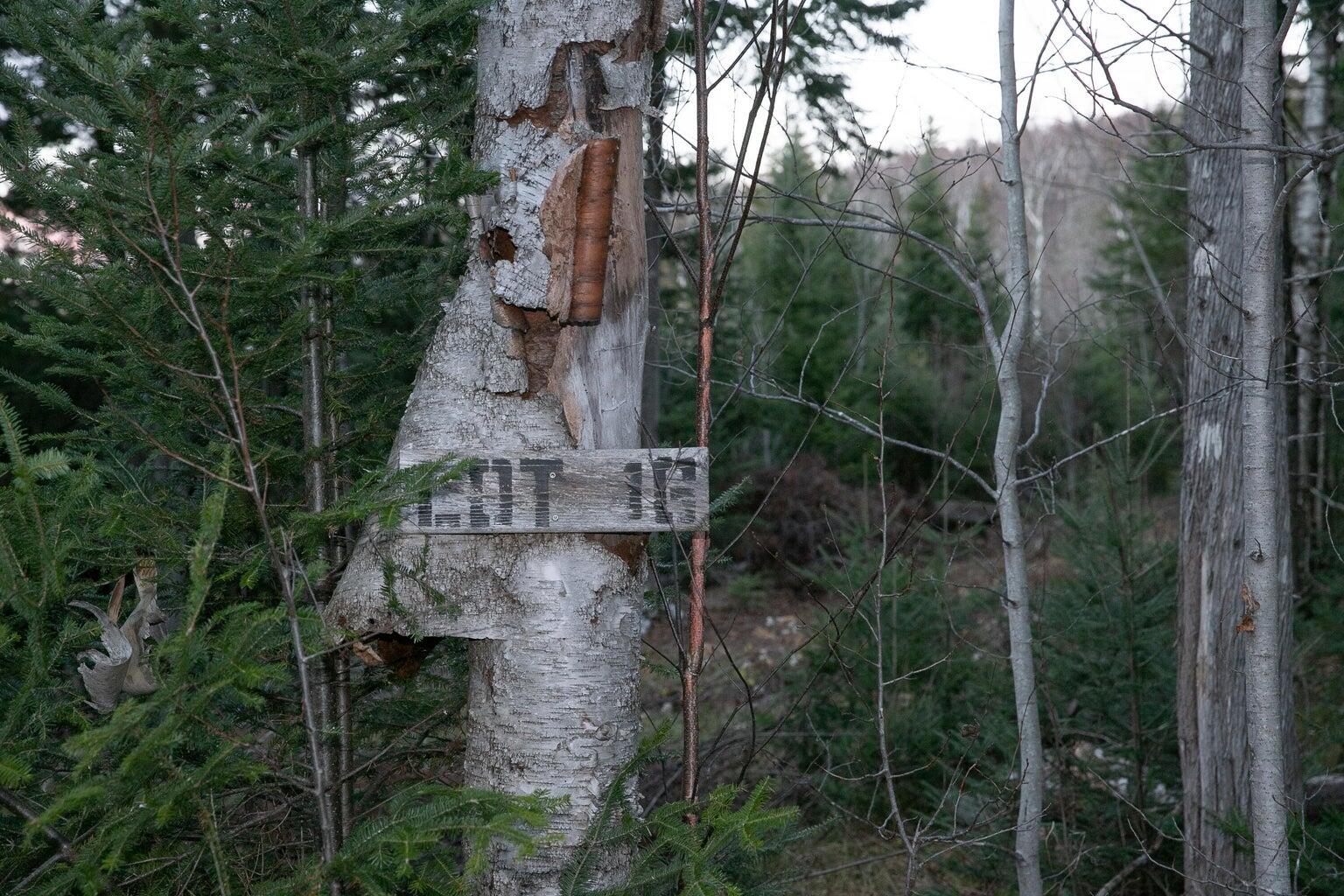 Lot 16 Mill Brook Road, Sandy River Plt, ME, 04970