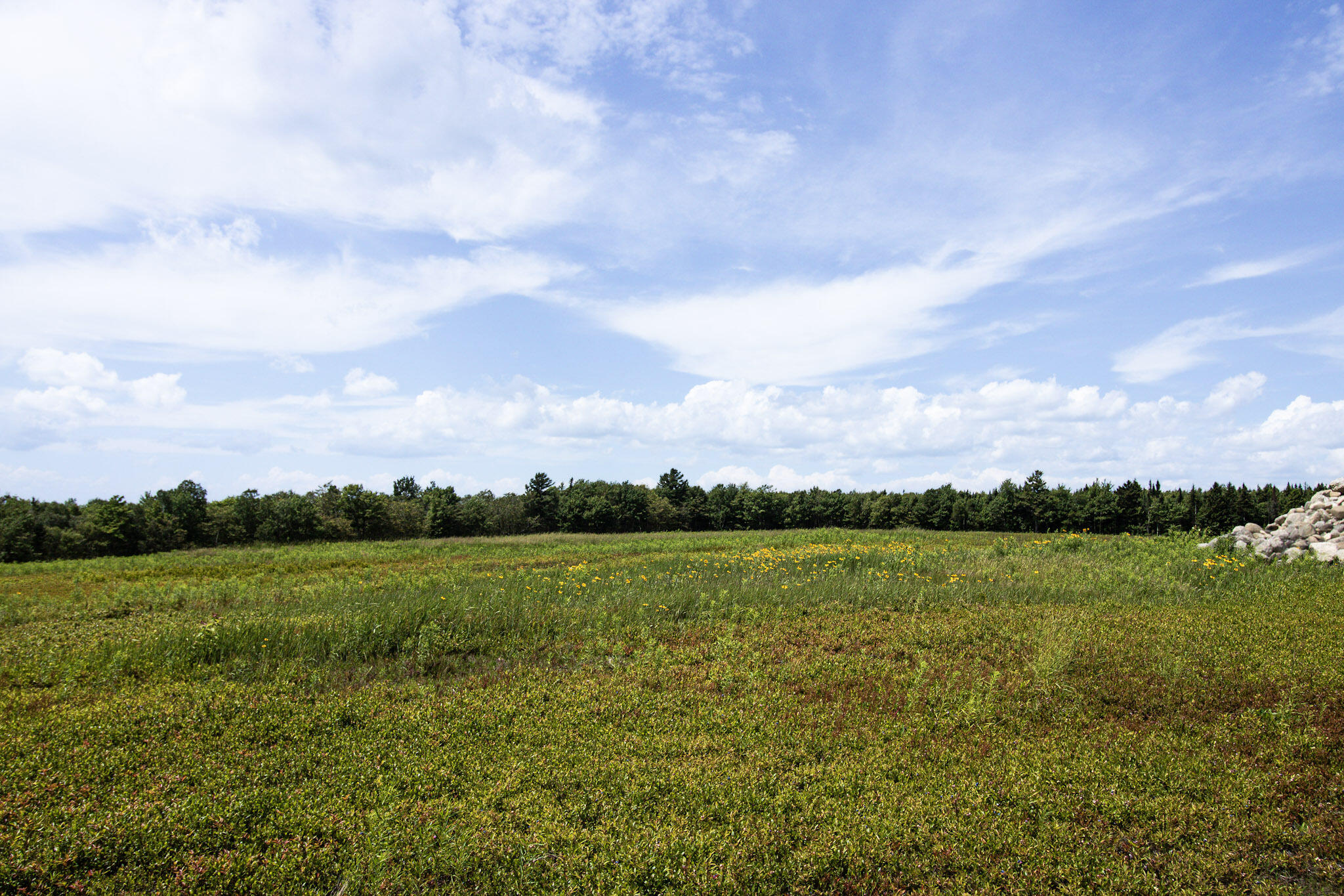 MAP13LOT9 Martins Ridge Road, Franklin, ME, 04634