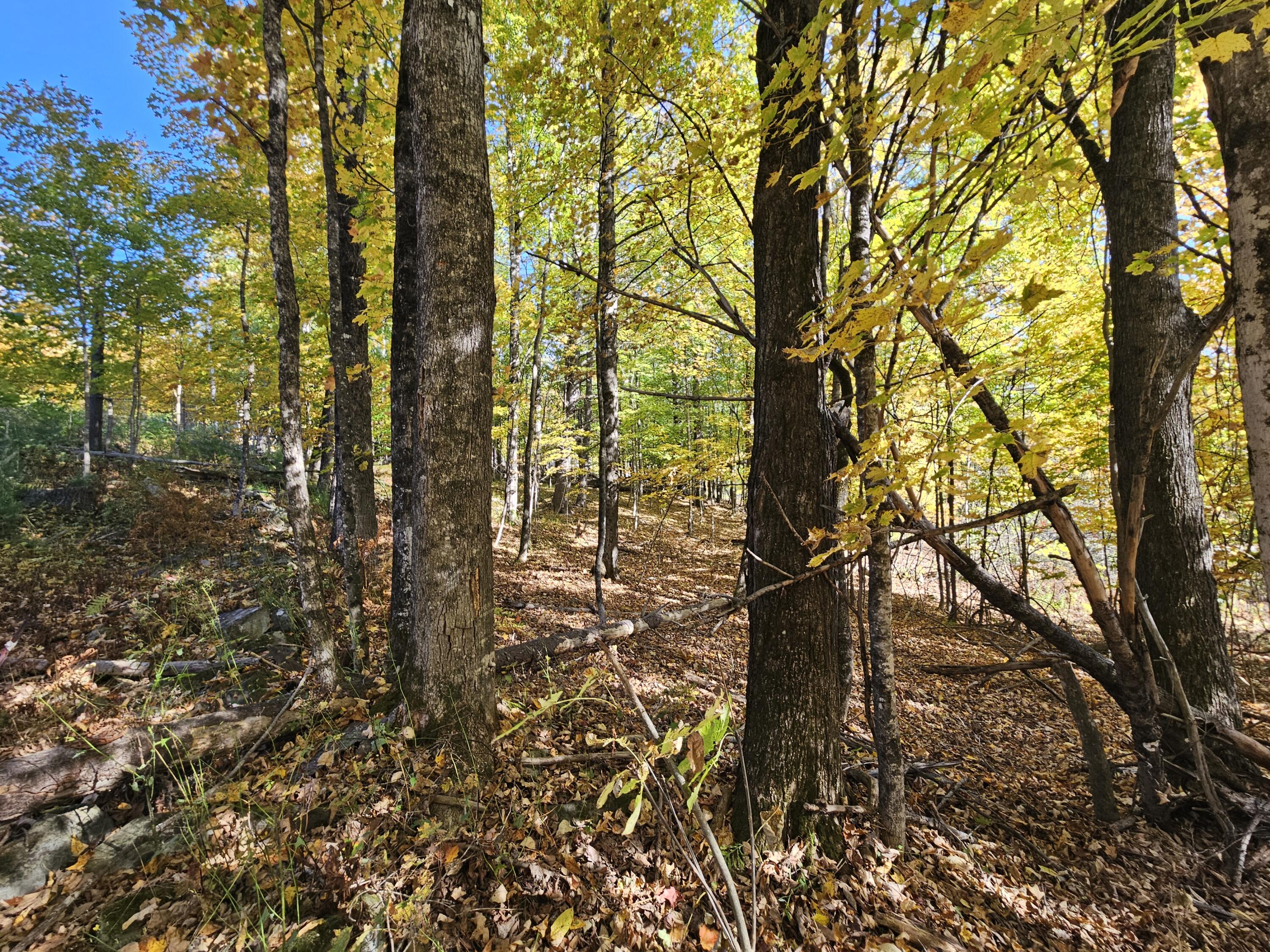 R-5 13-A Norton Hill Road, Strong, ME, 04983