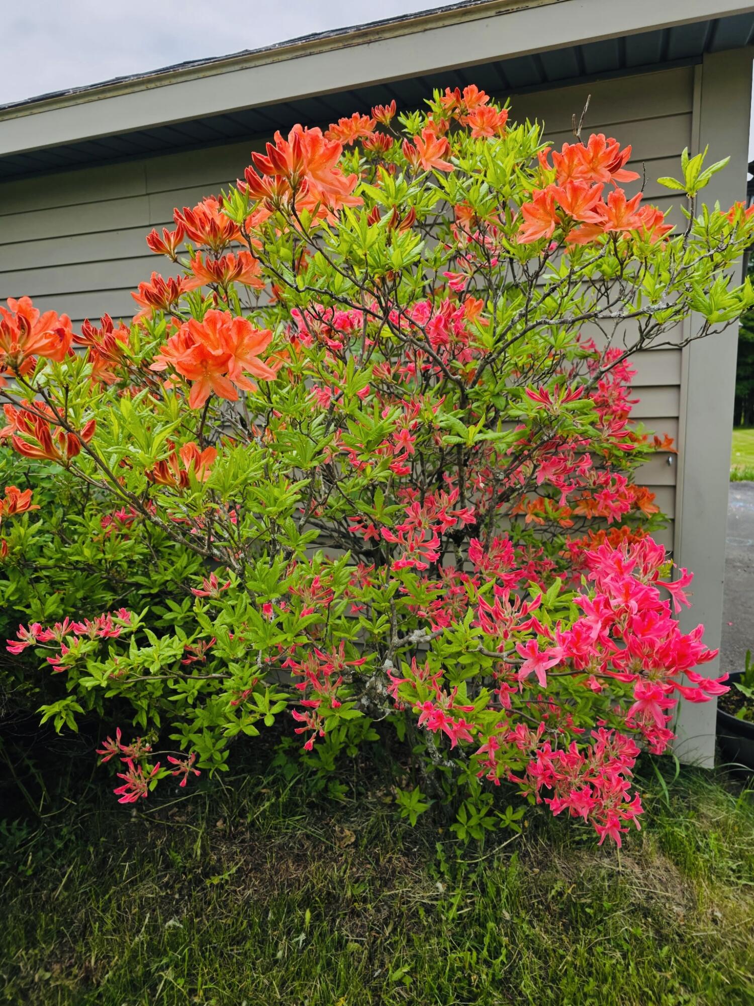 28 Messina Drive, Skowhegan, ME, 04976