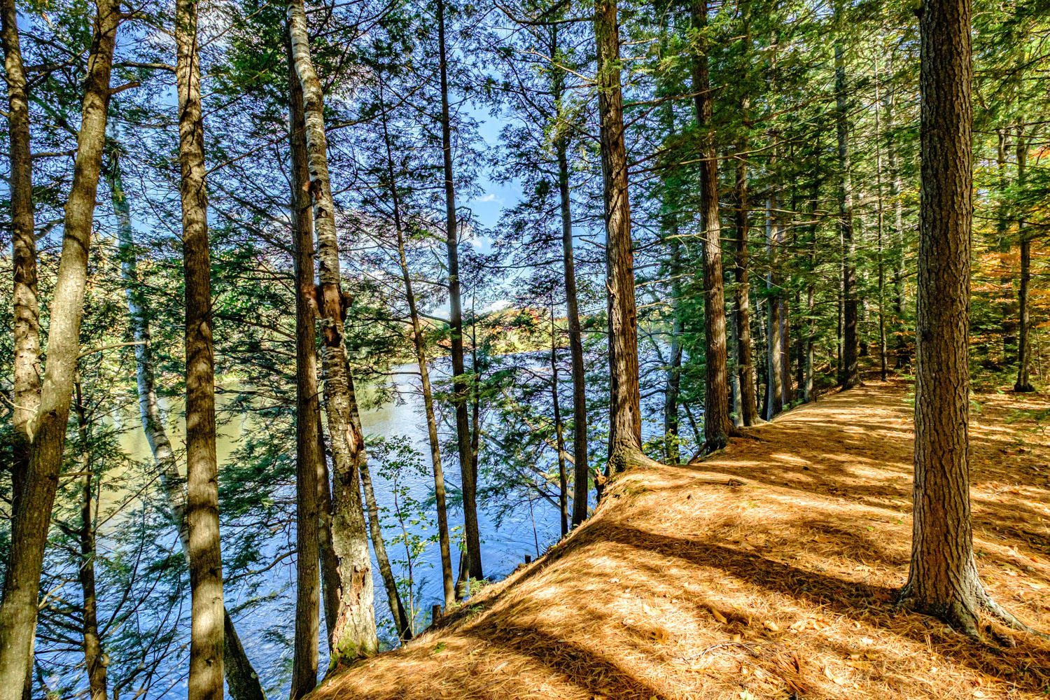 10 Oak Drive, Bethel, ME, 04217-3010