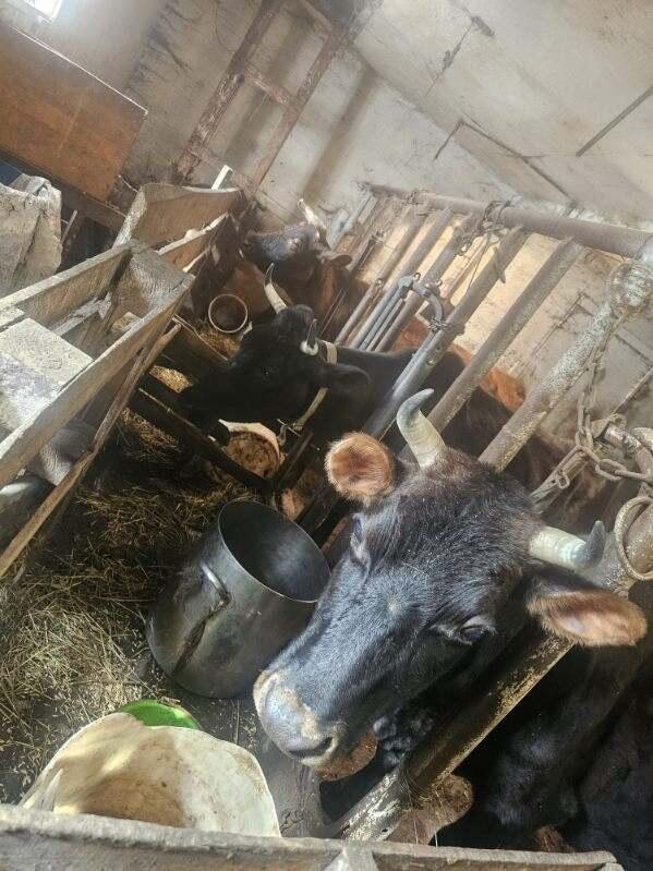 75 Doucette Road, Grand Isle, ME, 04746