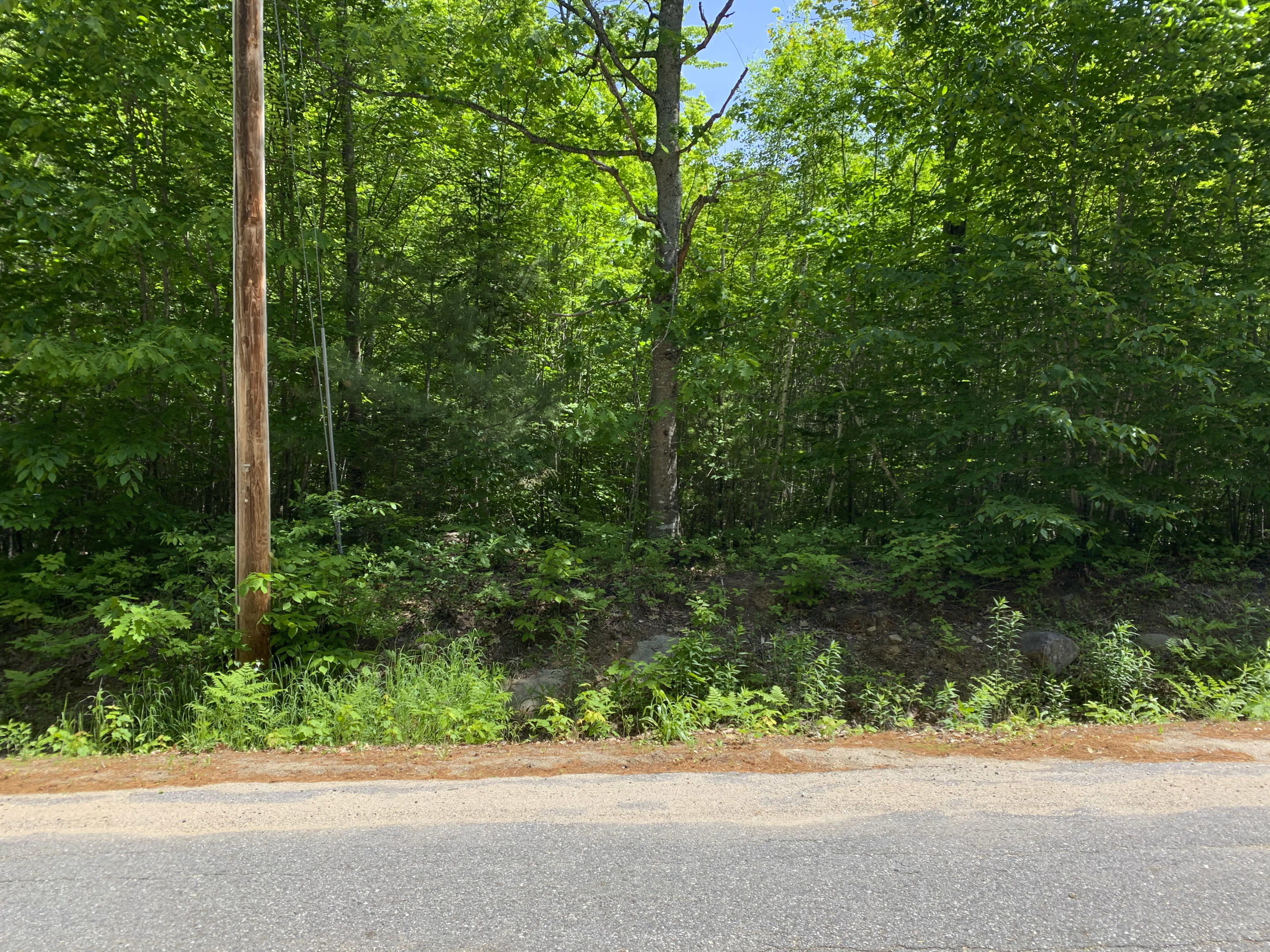 Lot 1 Harbor Road, Woodstock, ME, 04219