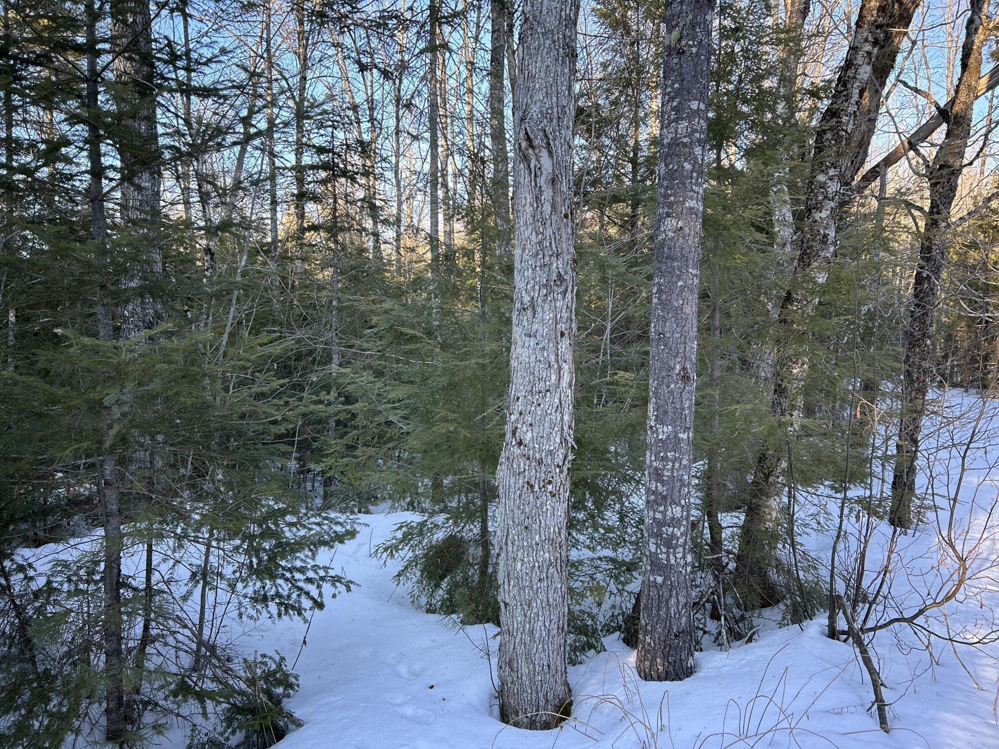 M7L22 Nelson Ridge Road N, Washington, ME, 04574