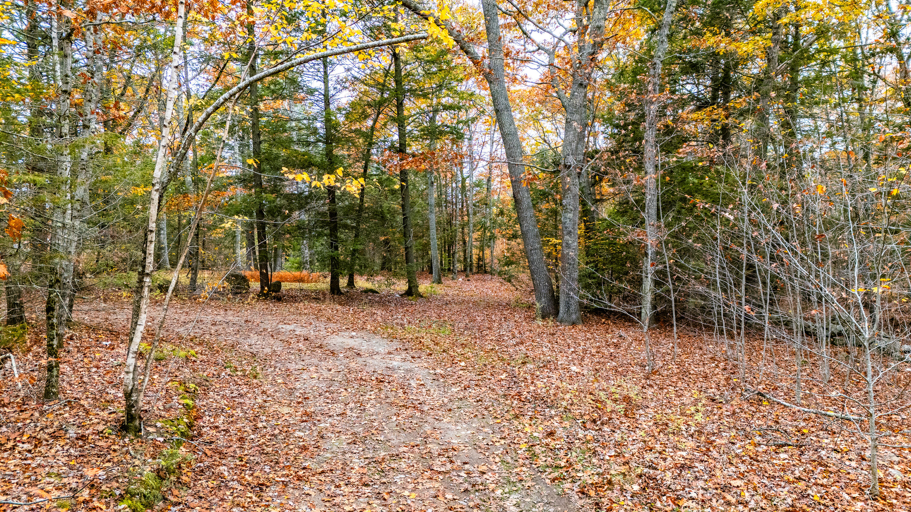 LotUNIT&nbsp;4 Bay View Trail, Edgecomb, ME, 04556
