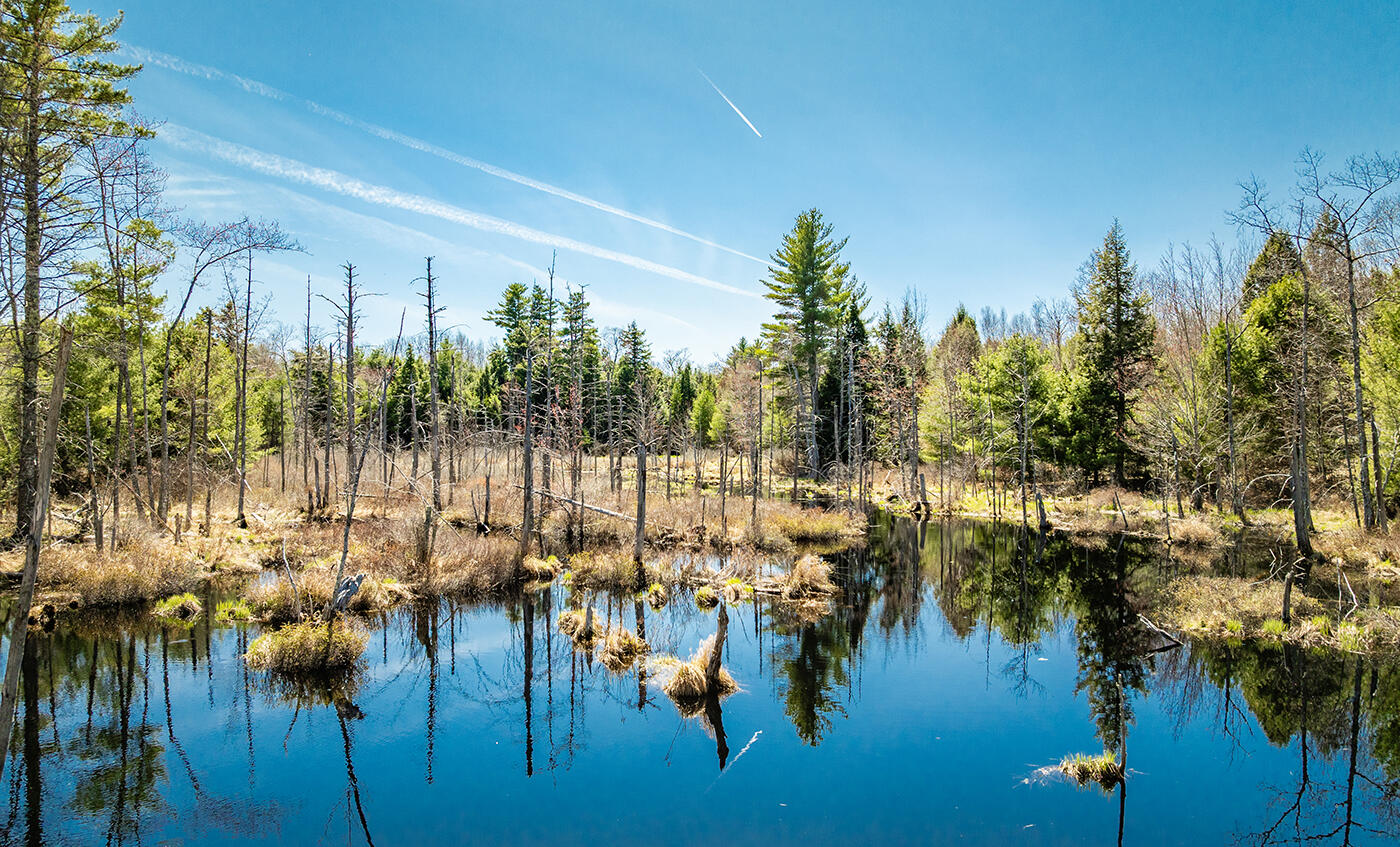 Map2 Lot21 Howes Cove Road, Liberty, ME, 04949