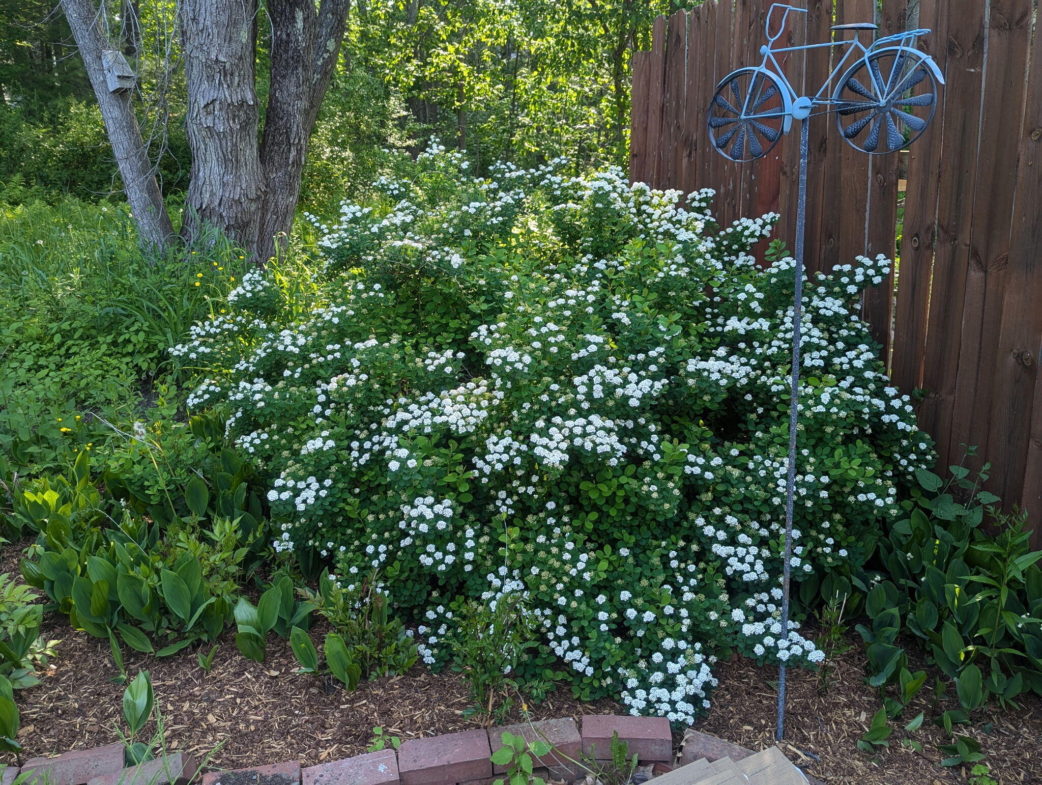 48 Pennell Avenue, Portland, ME, 04103