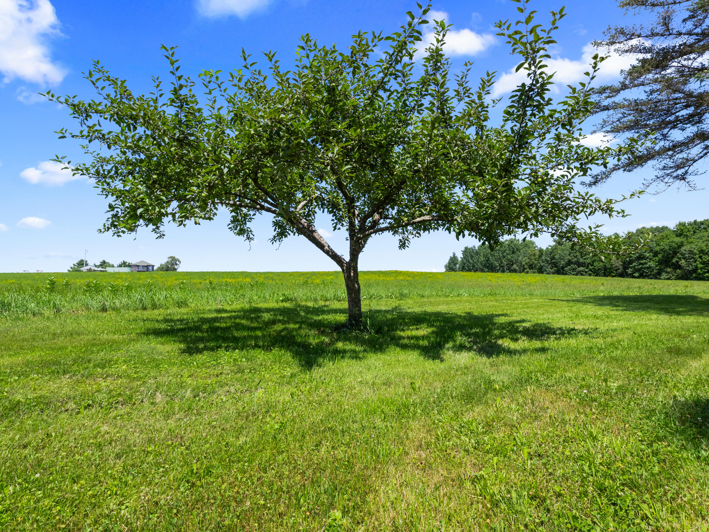 356 Range Road, Atkinson, ME, 04426