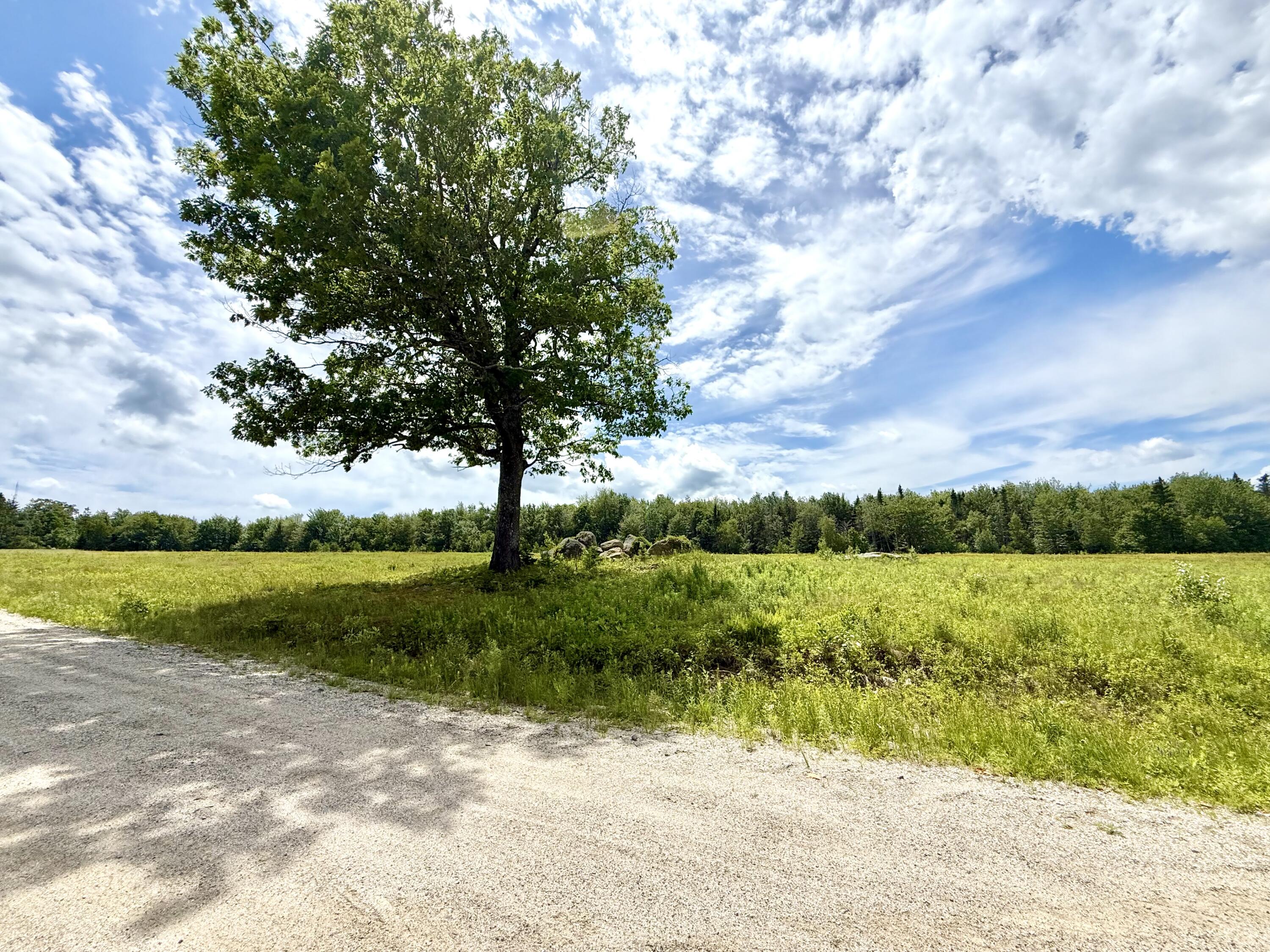 MAP13LOT9 Martins Ridge Road, Franklin, ME, 04634