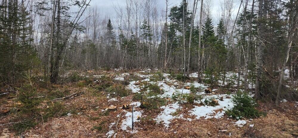 Lot  14D-2 Music Road, Farmington, ME, 04938