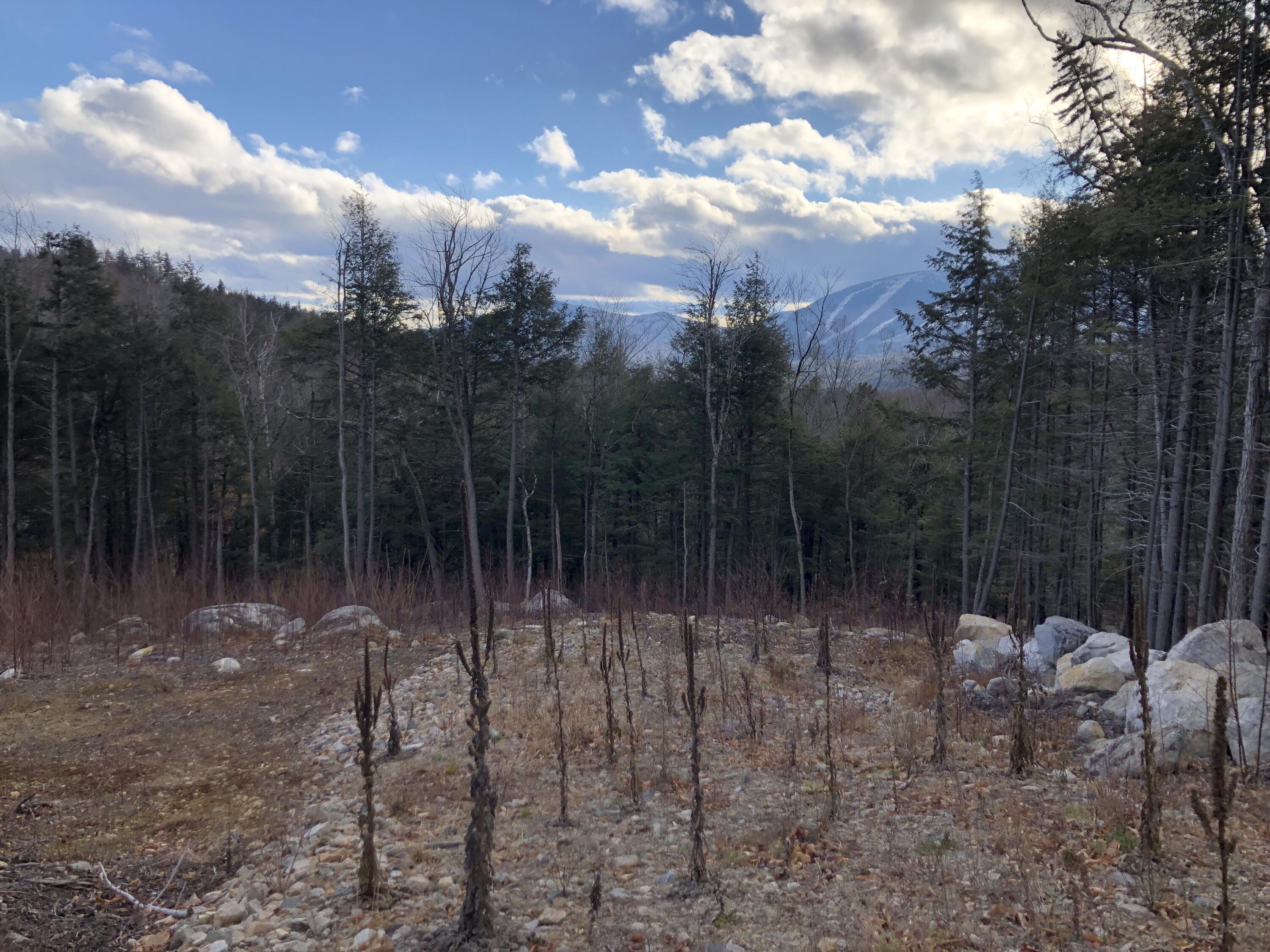 Lot 67 Snowbird Lane, Newry, ME, 04261