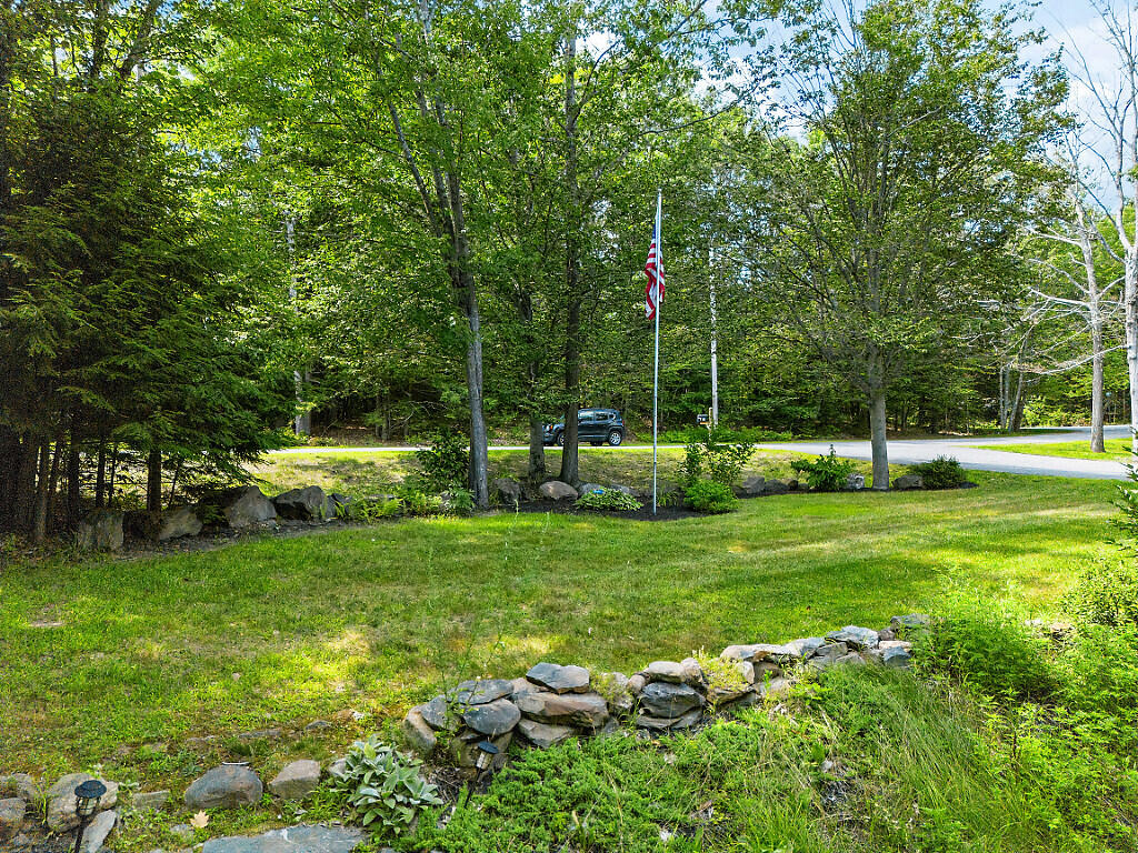 65_DJI_0235_DxO_mls