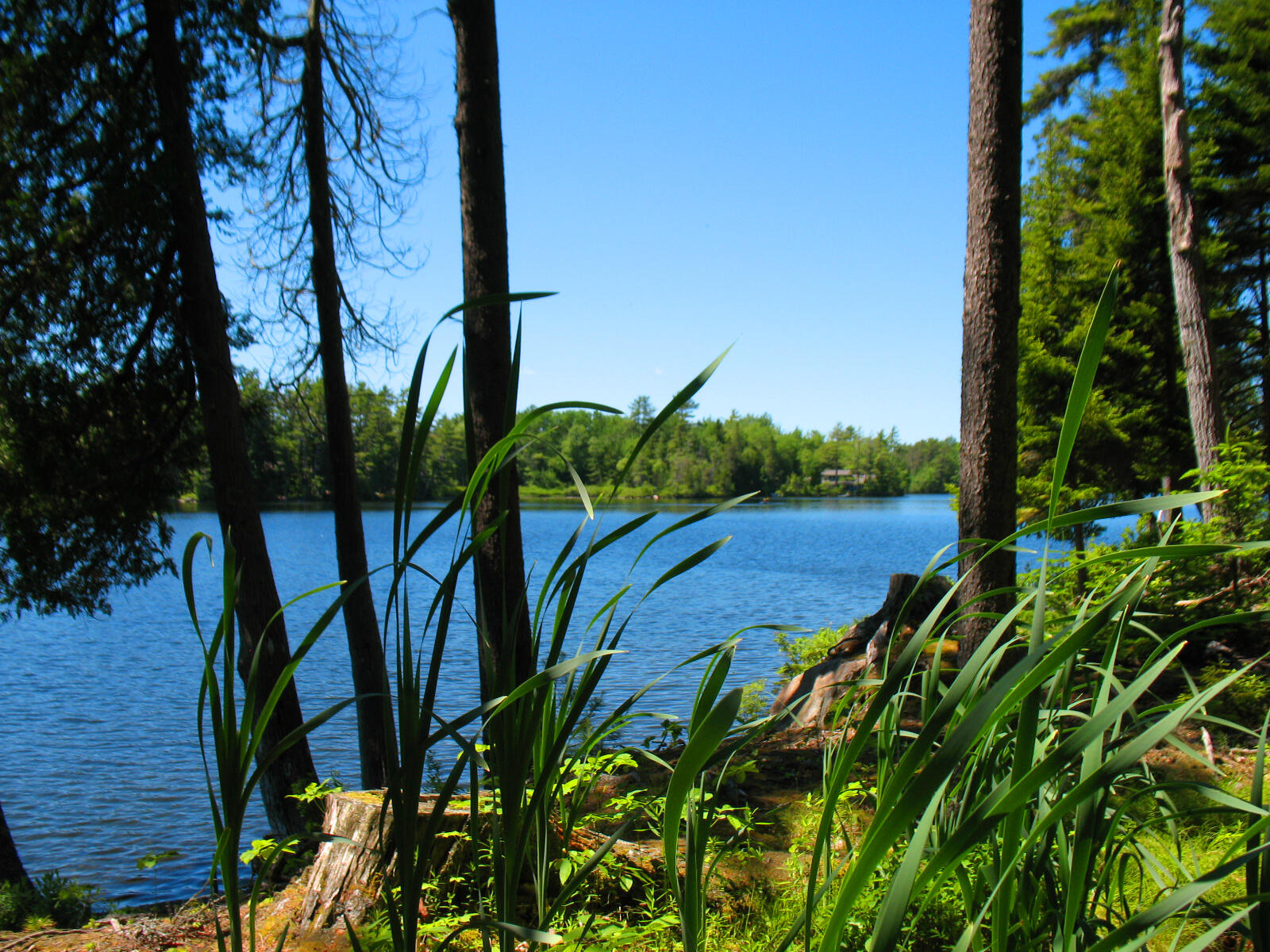 10-6 Vista Way, Mount Desert, ME, 04660