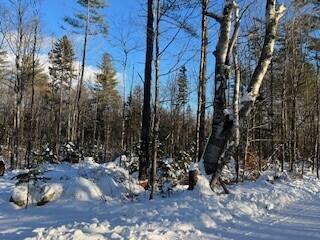 Lot 045 Sawyer Notch Road, Andover, ME, 04216