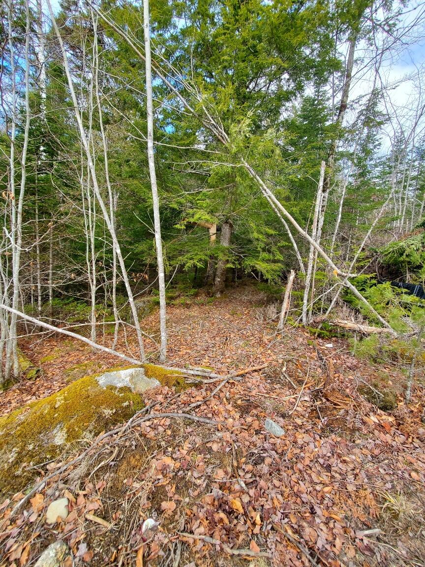 0 Pioneer Path UNIT Lot 5, Aurora, ME, 04408