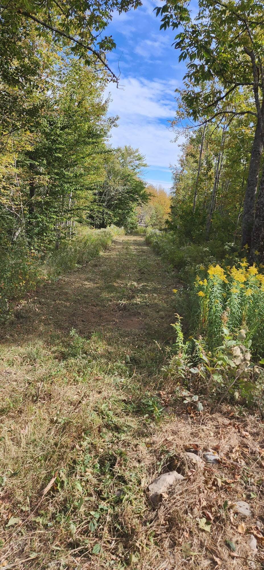 Lot 52 US- Route 1, Robbinston, ME, 04668