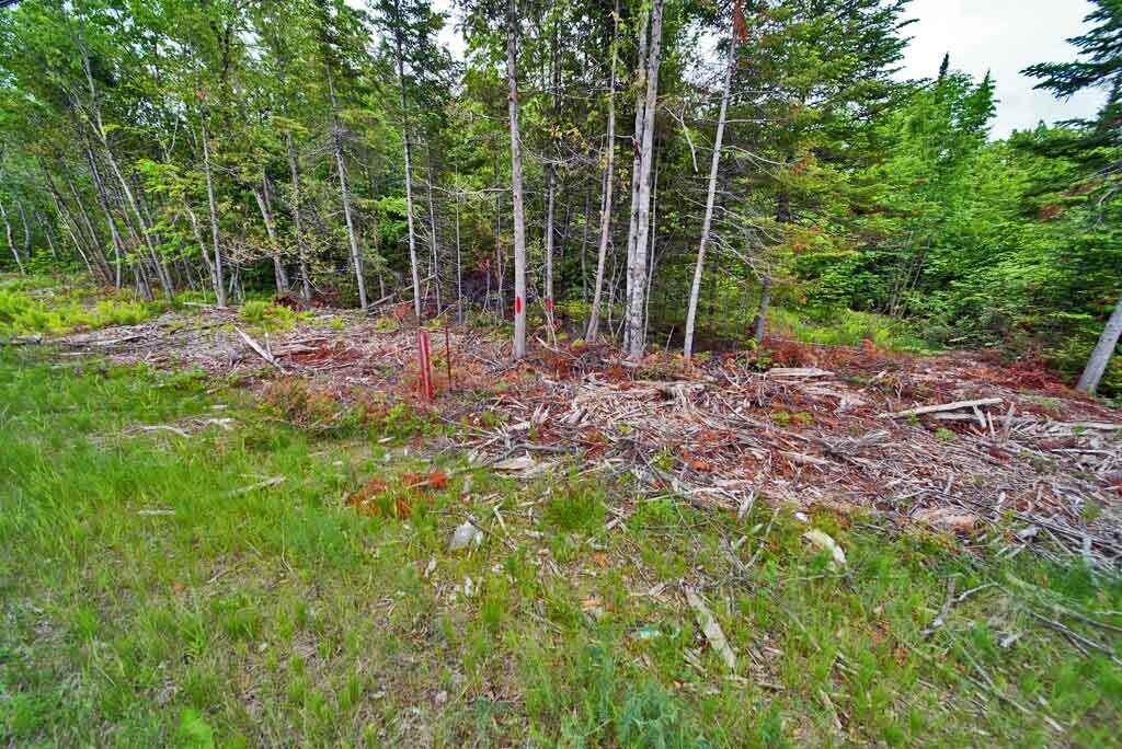 823 US RT 1, Amity, ME, 04471