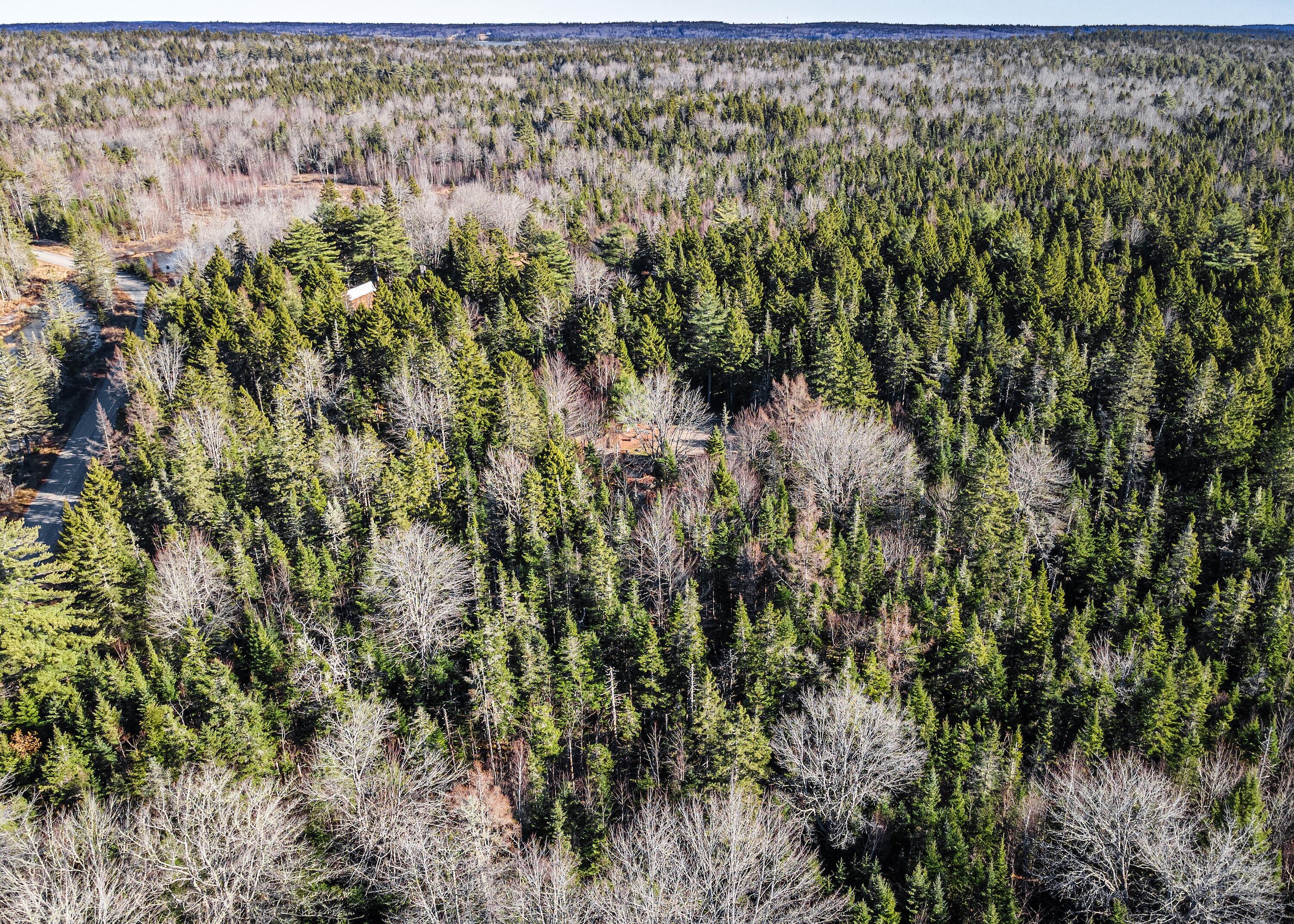 175 Chicken Mill Pond Road, Gouldsboro, ME, 04607