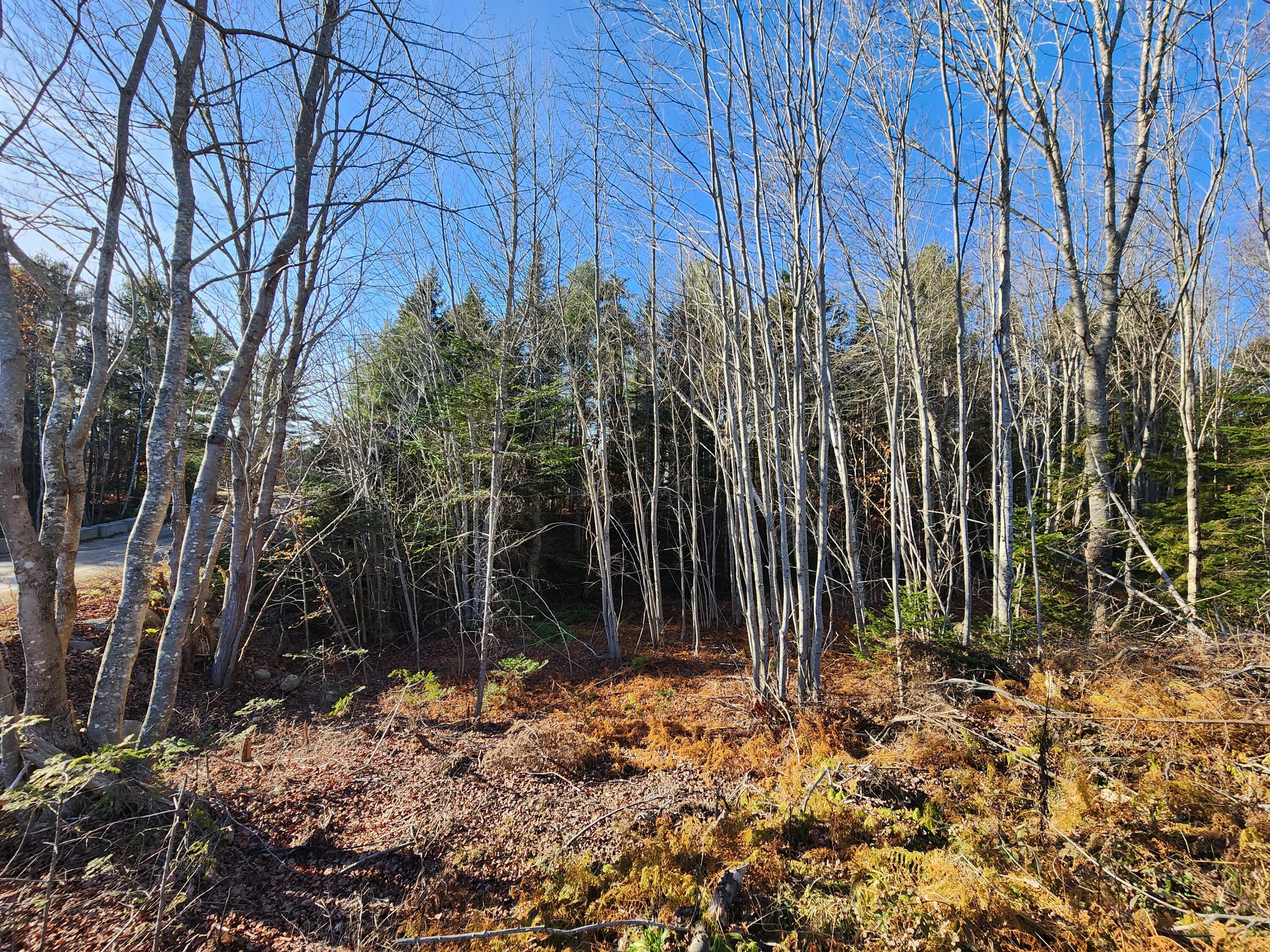 35 Trout Brook Lane, Searsport, ME, 04974