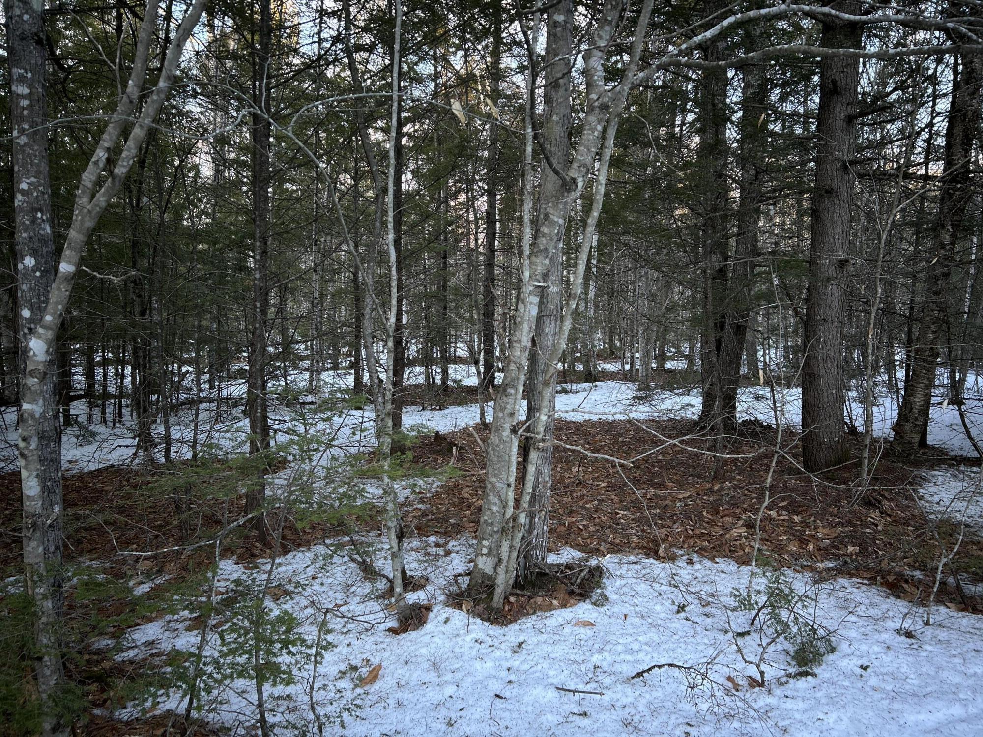 Map13Lot11 Field View Road, Fryeburg, ME, 04037
