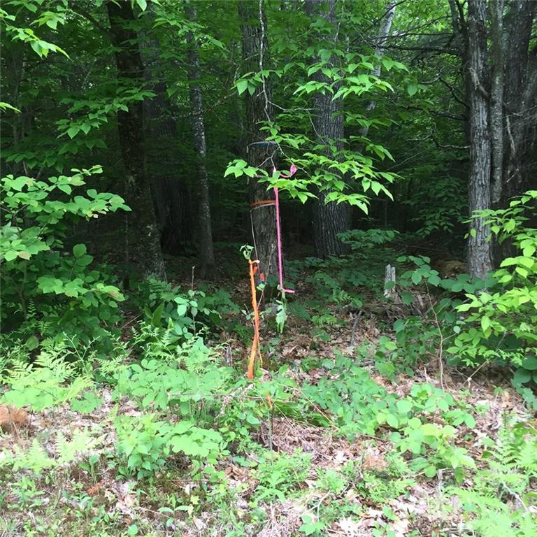 0 Richardson Hollow & Young Hill Road, Greenwood, ME, 04255