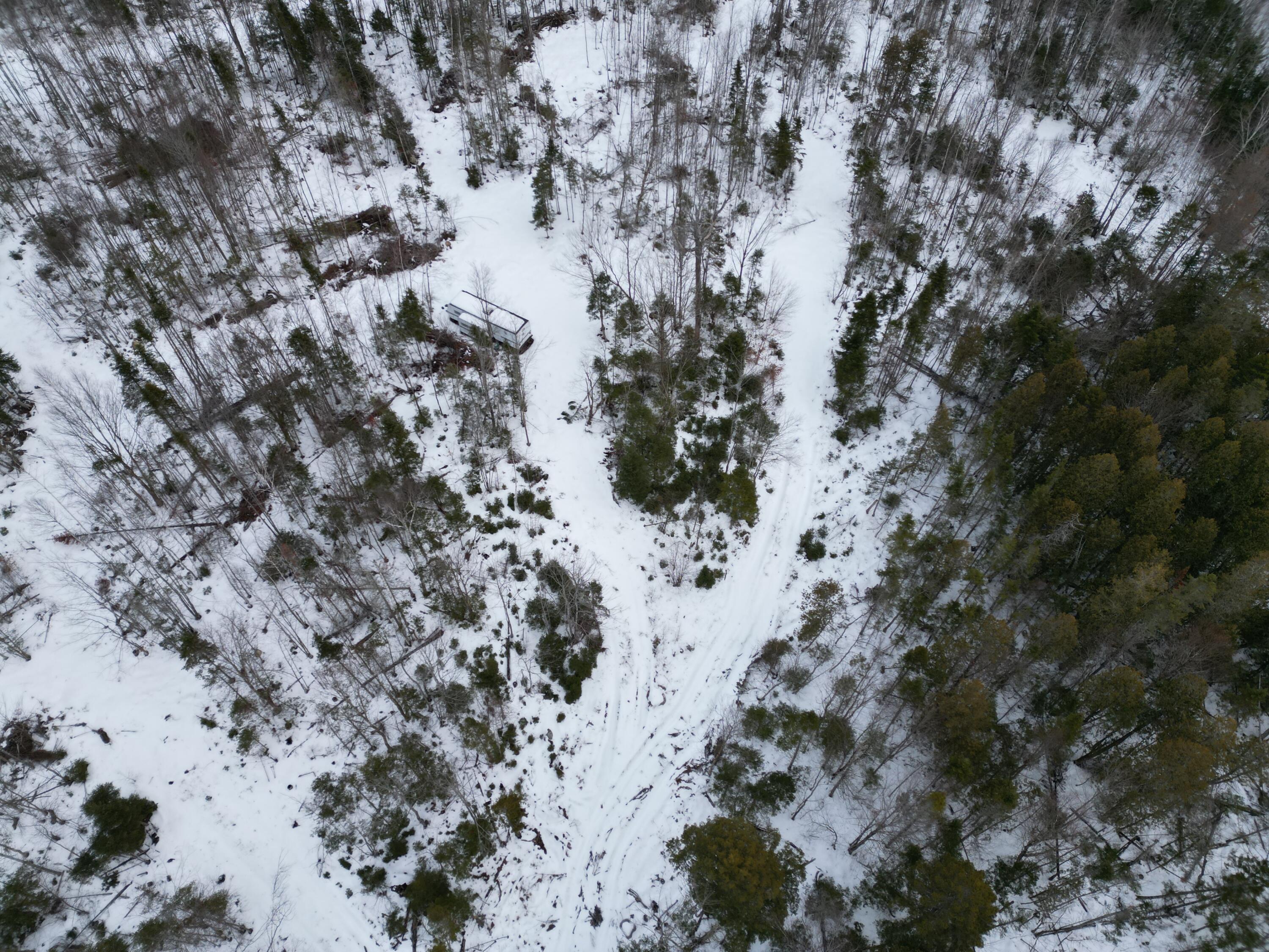 Lot 1 Moores Road, Springfield, ME, 04487