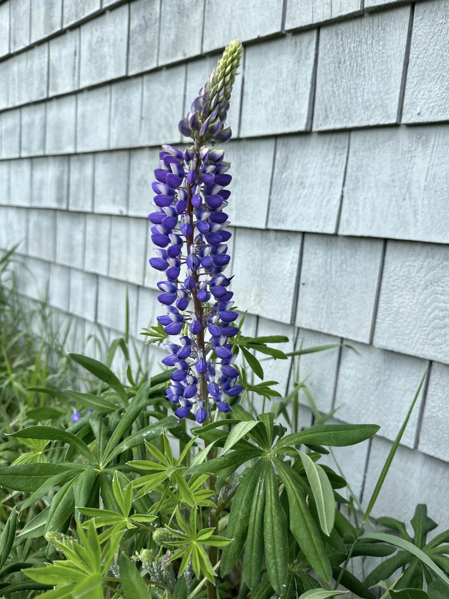 561 Bayside Road, Ellsworth, ME, 04605