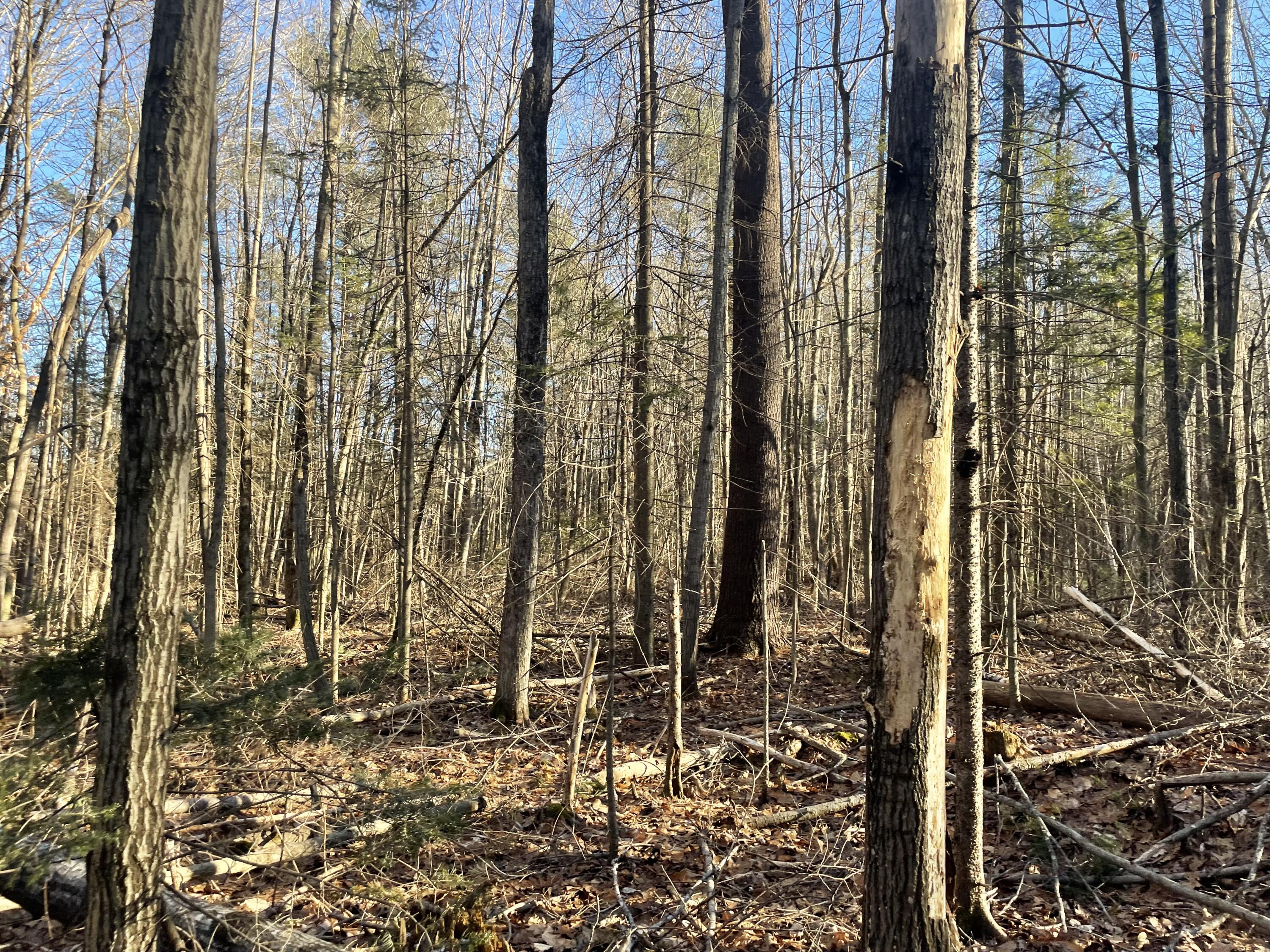 0 Cross Street, Manchester, ME, 04351