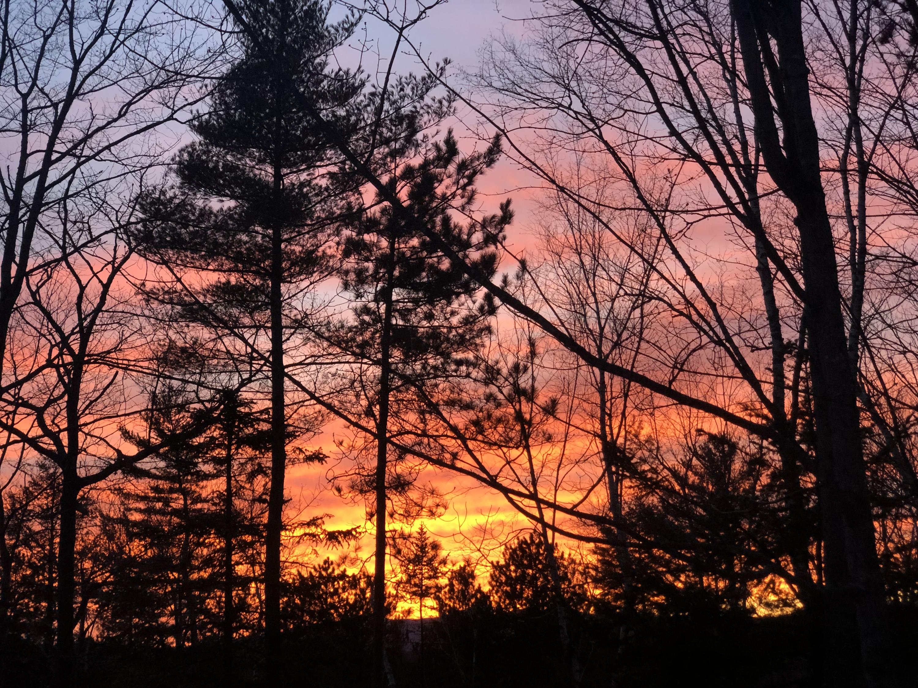 20 Hickory Drive, Woodstock, ME, 04219-2003