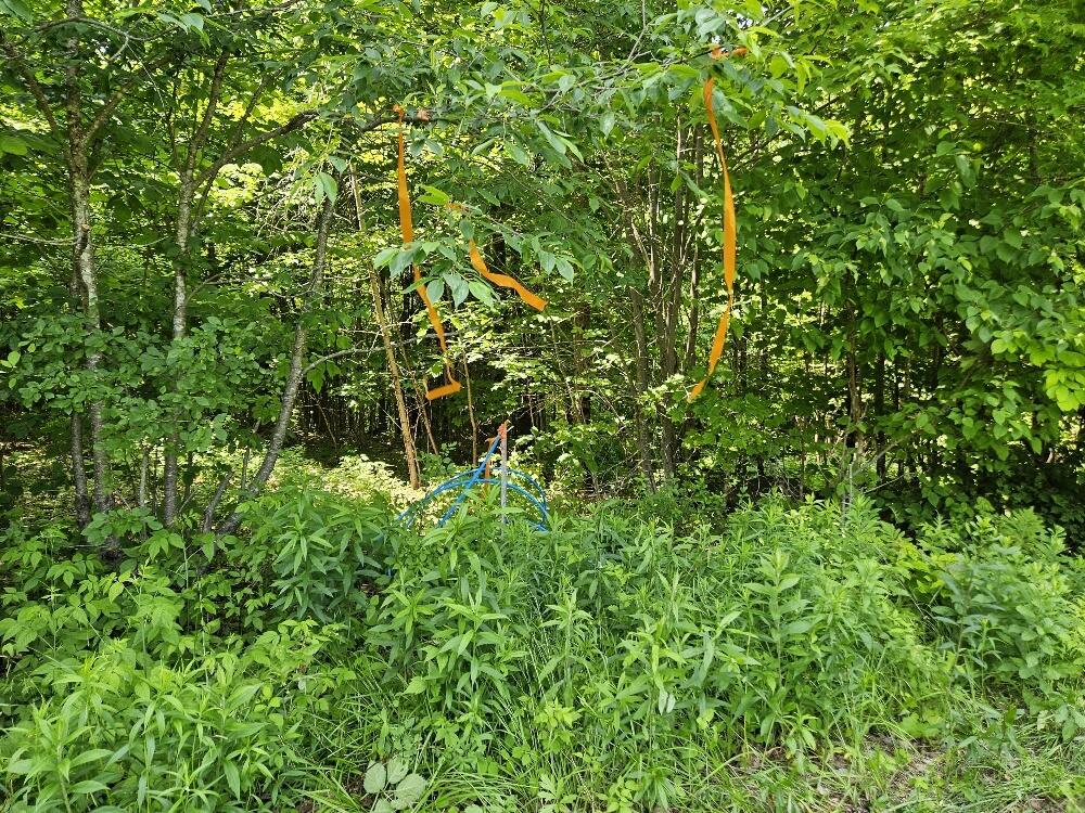 645 Kimball Pond Road, New Sharon, ME, 04955