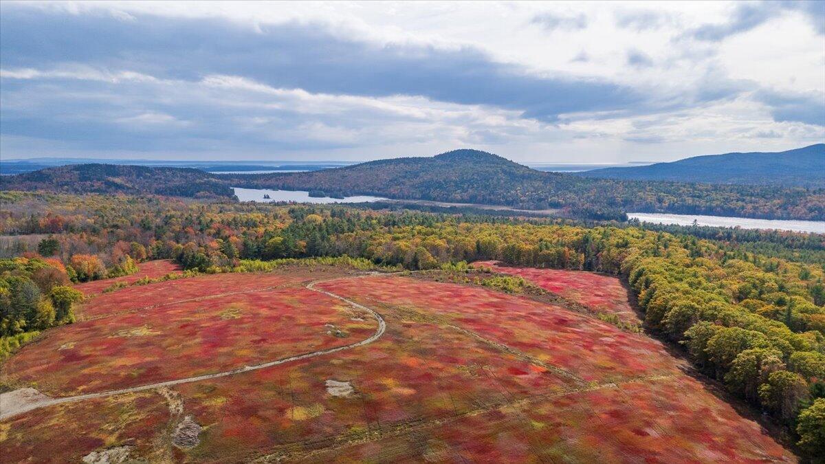 423 Beech Hill Road, Northport, ME, 04849