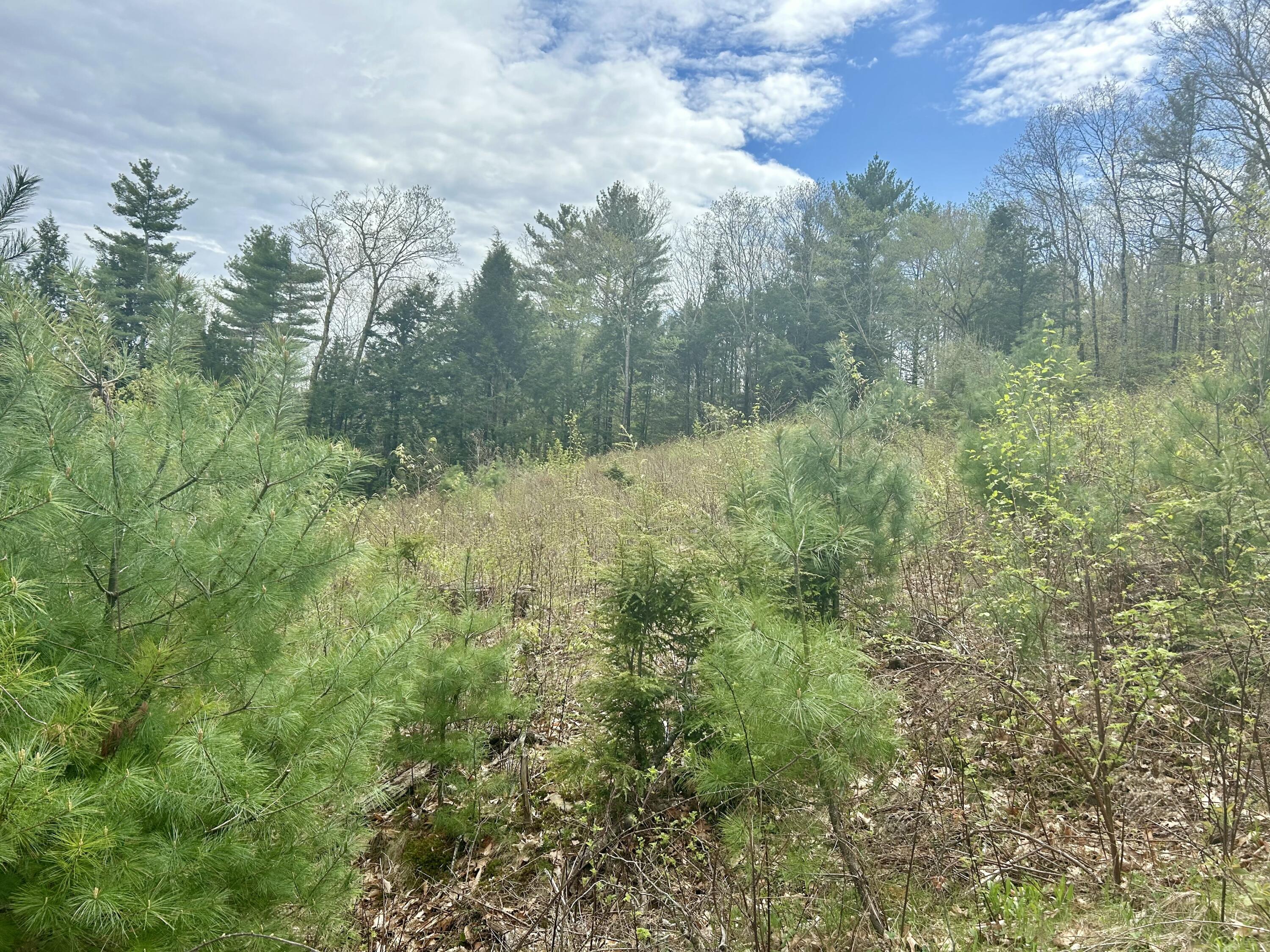 M3 L9 Winthrop Center Road, Winthrop, ME, 04364