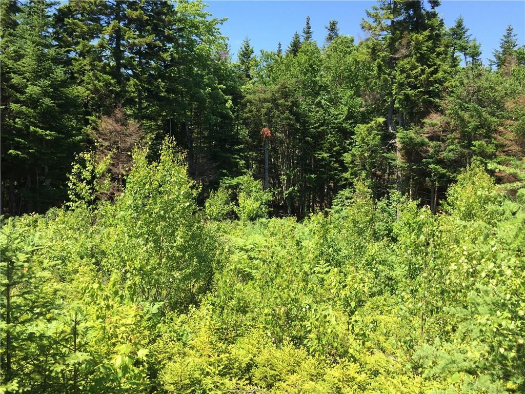 65 Lookout Mountain Road, East Machias, ME, 04630