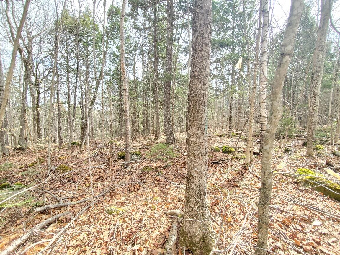 0 Sandy Beach Road, Danforth, ME, 04424