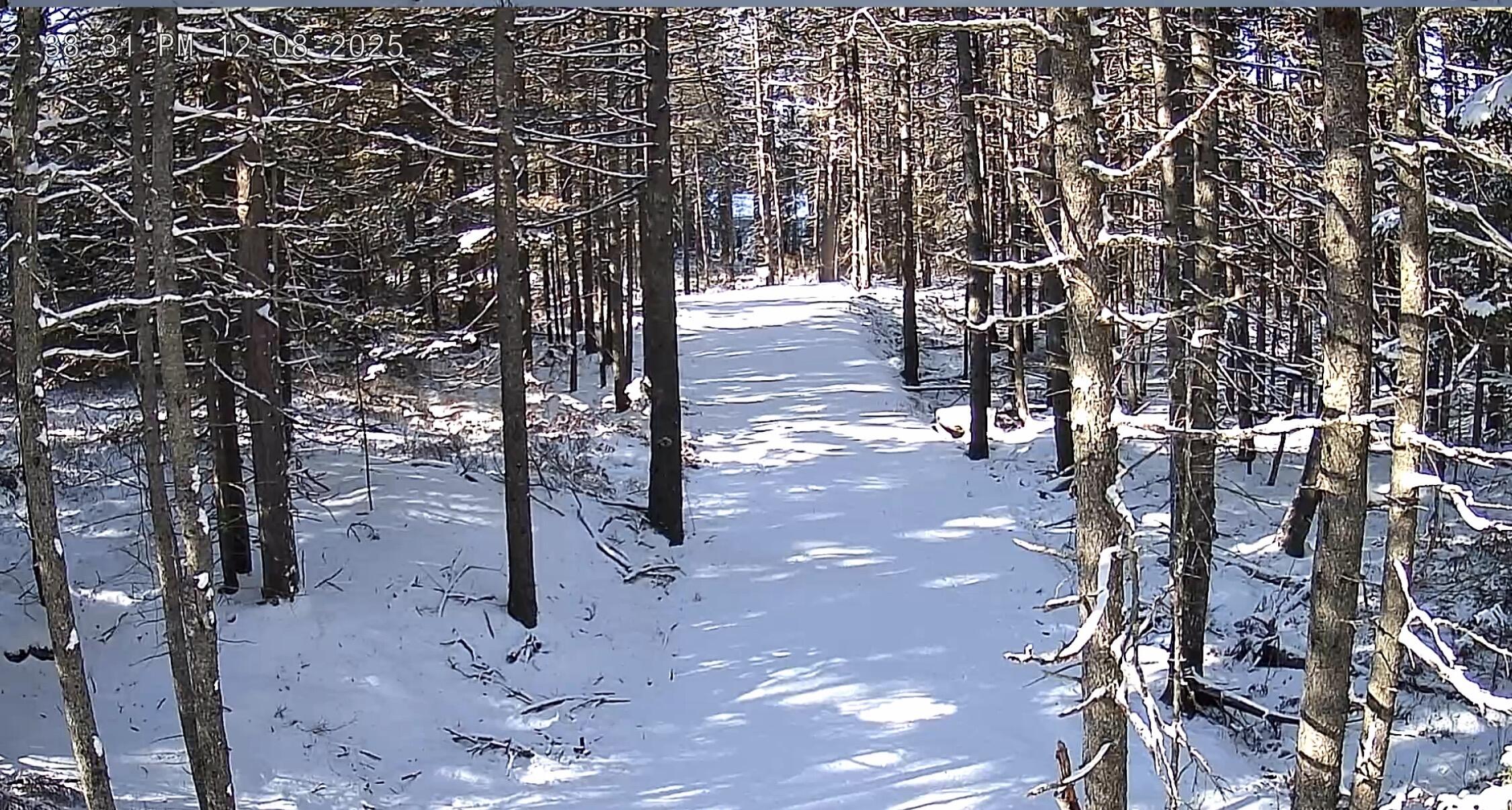 774 Spruce Head Road, Saint George, ME, 04858