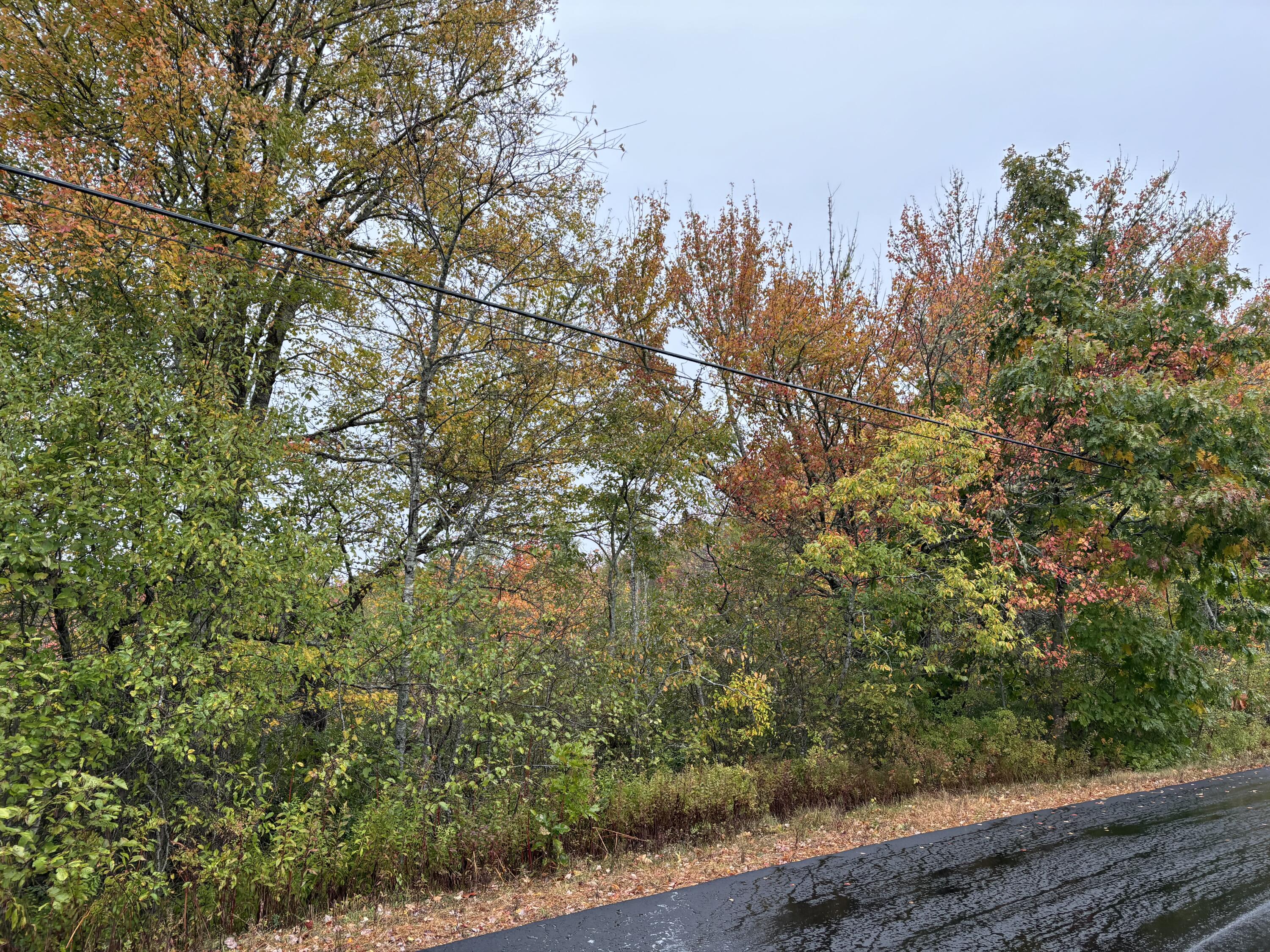 253 Hathorne Point Road, Cushing, ME, 04563