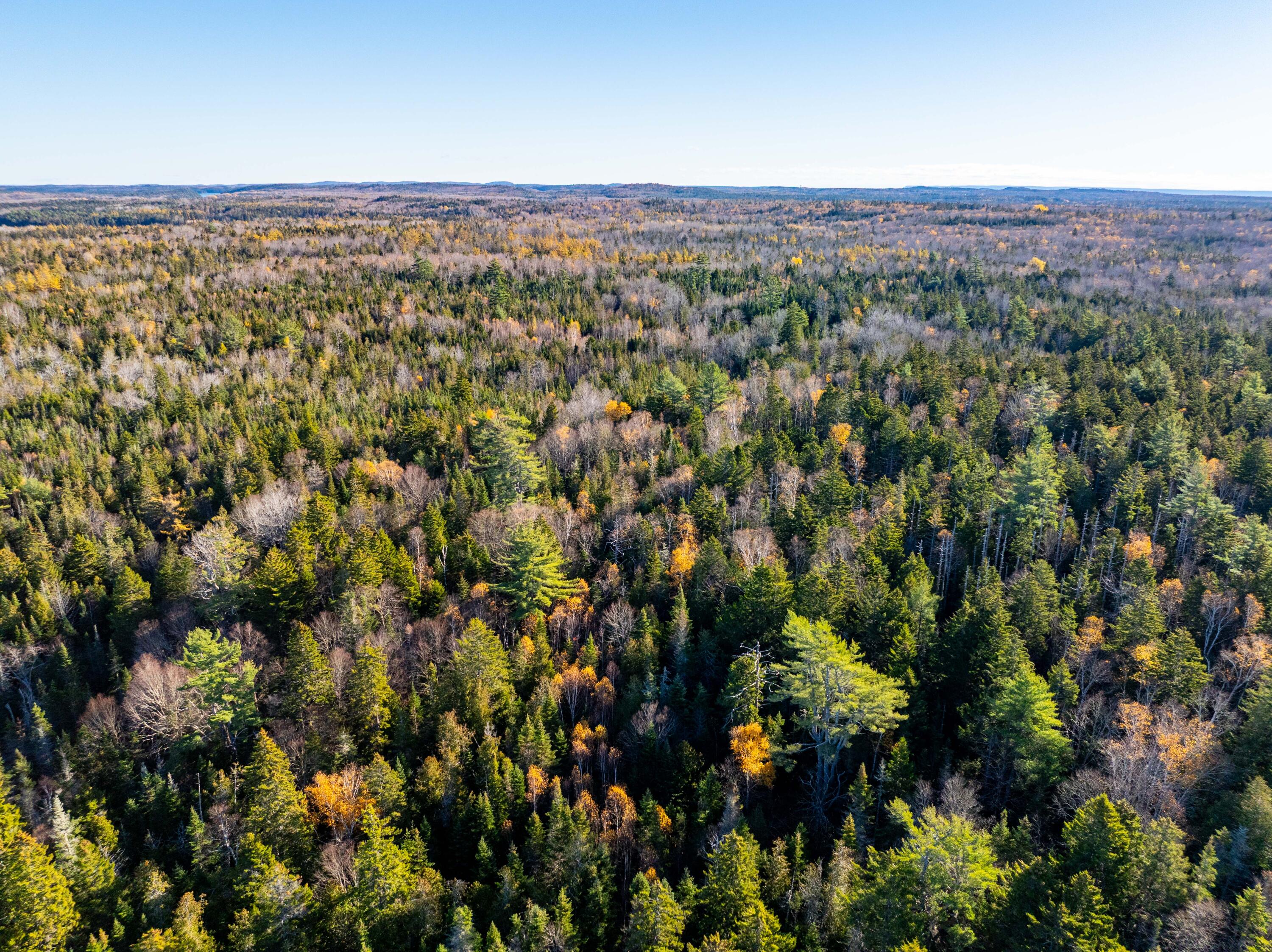 01-4 WA035, Trescott Twp, ME, 04652