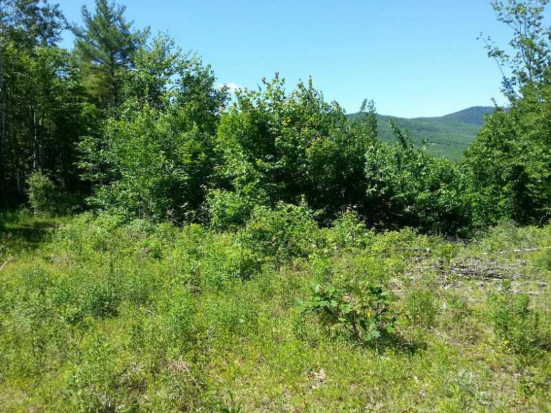 44 Coyote Lane, Carthage, ME, 04224