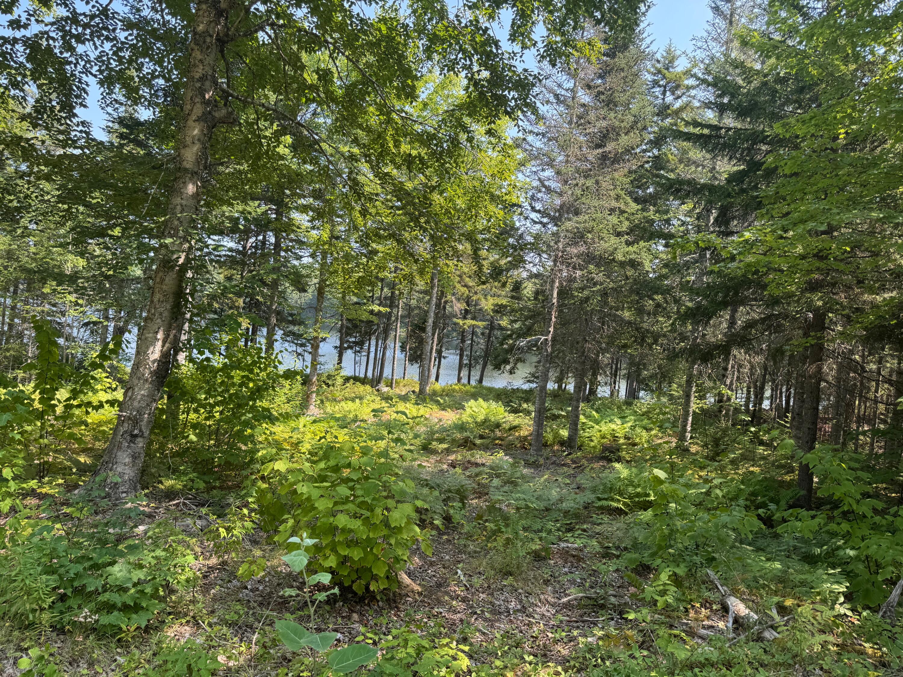 3 Steam Mill Road, Robbinston, ME, 04671