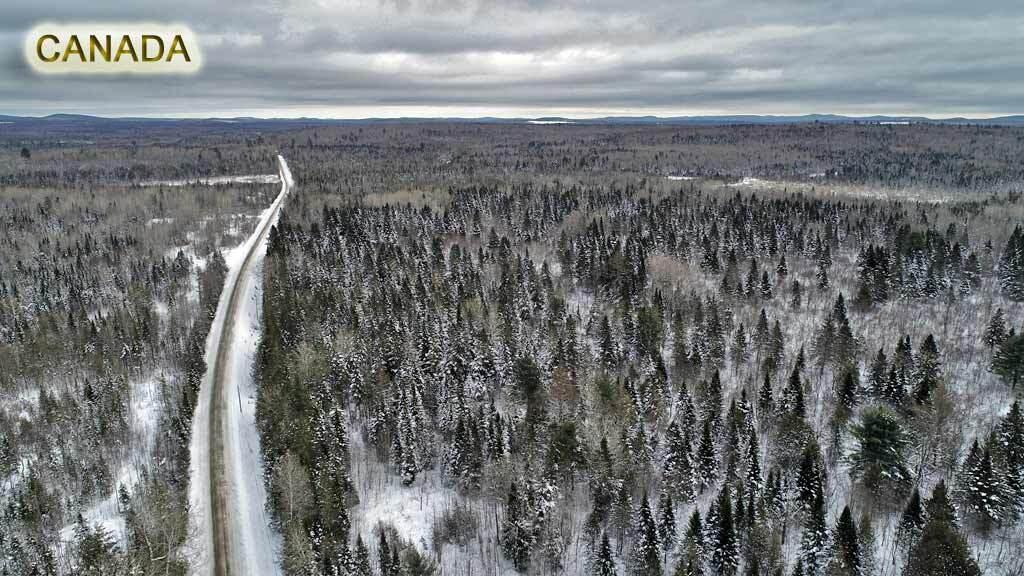 Lot 27 Brewer Road, Cary Plt, ME, 04471