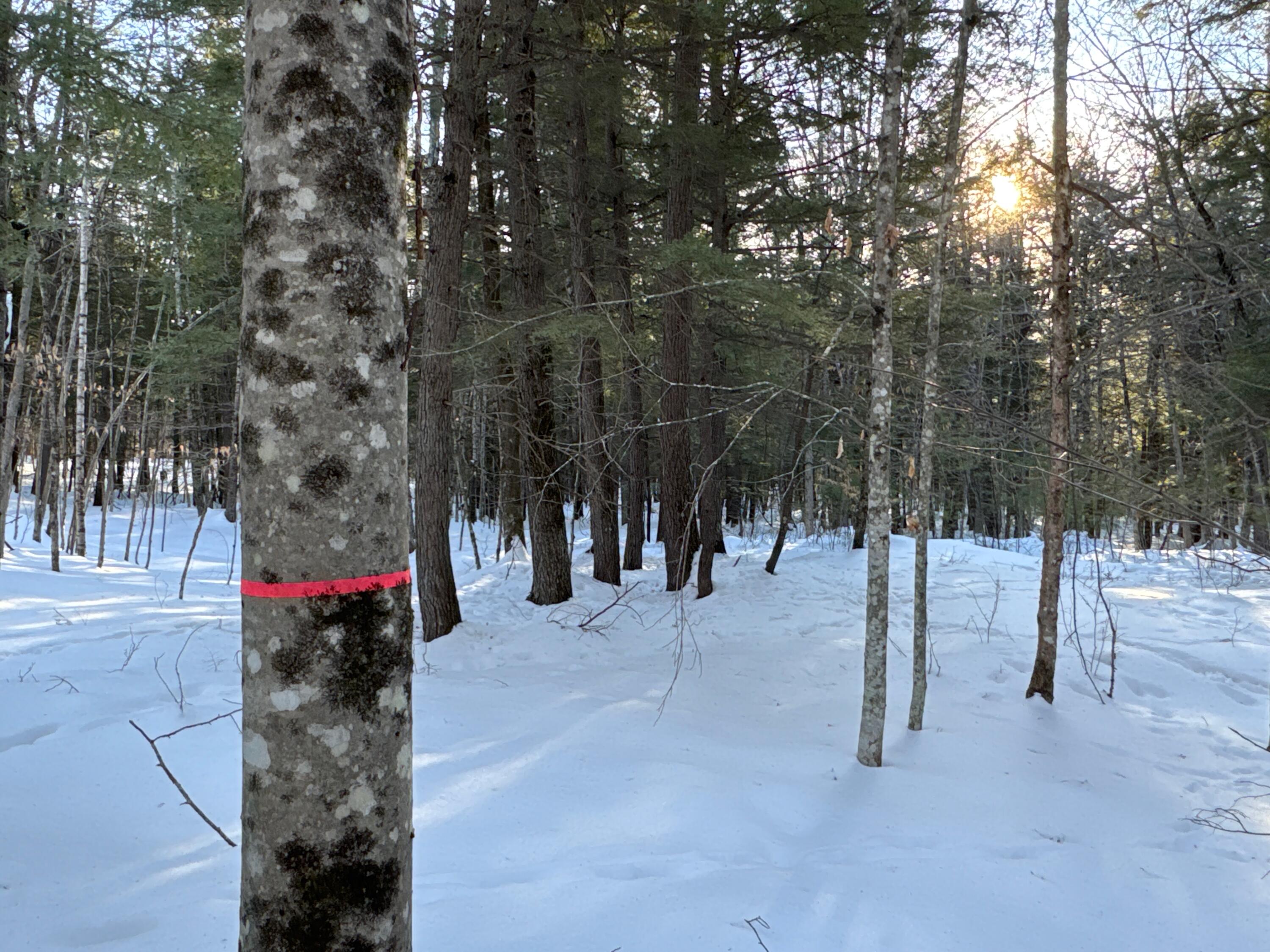 M10L44 Mountain View Road, Fryeburg, ME, 04037