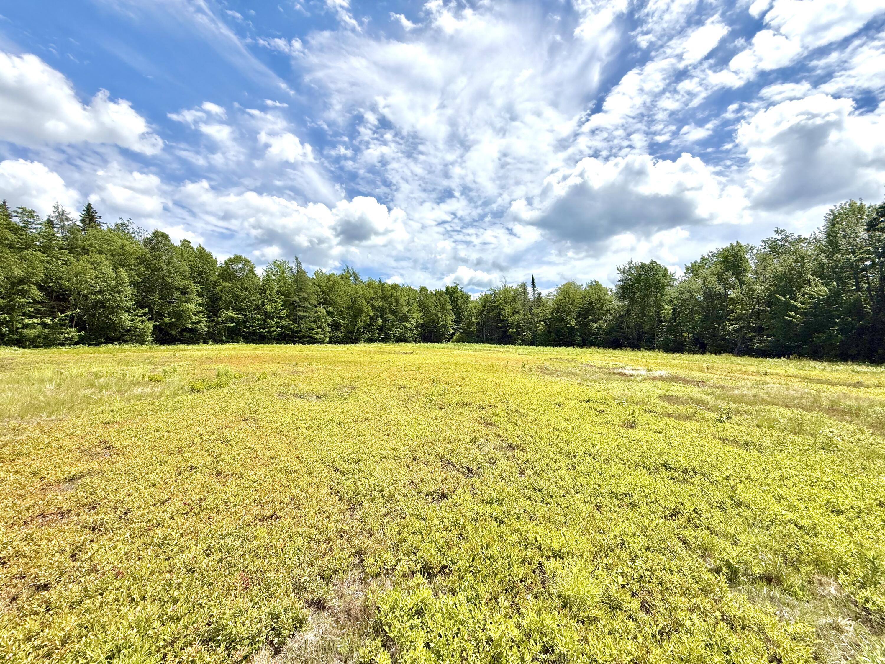 MAP13LOT9 Martins Ridge Road, Franklin, ME, 04634